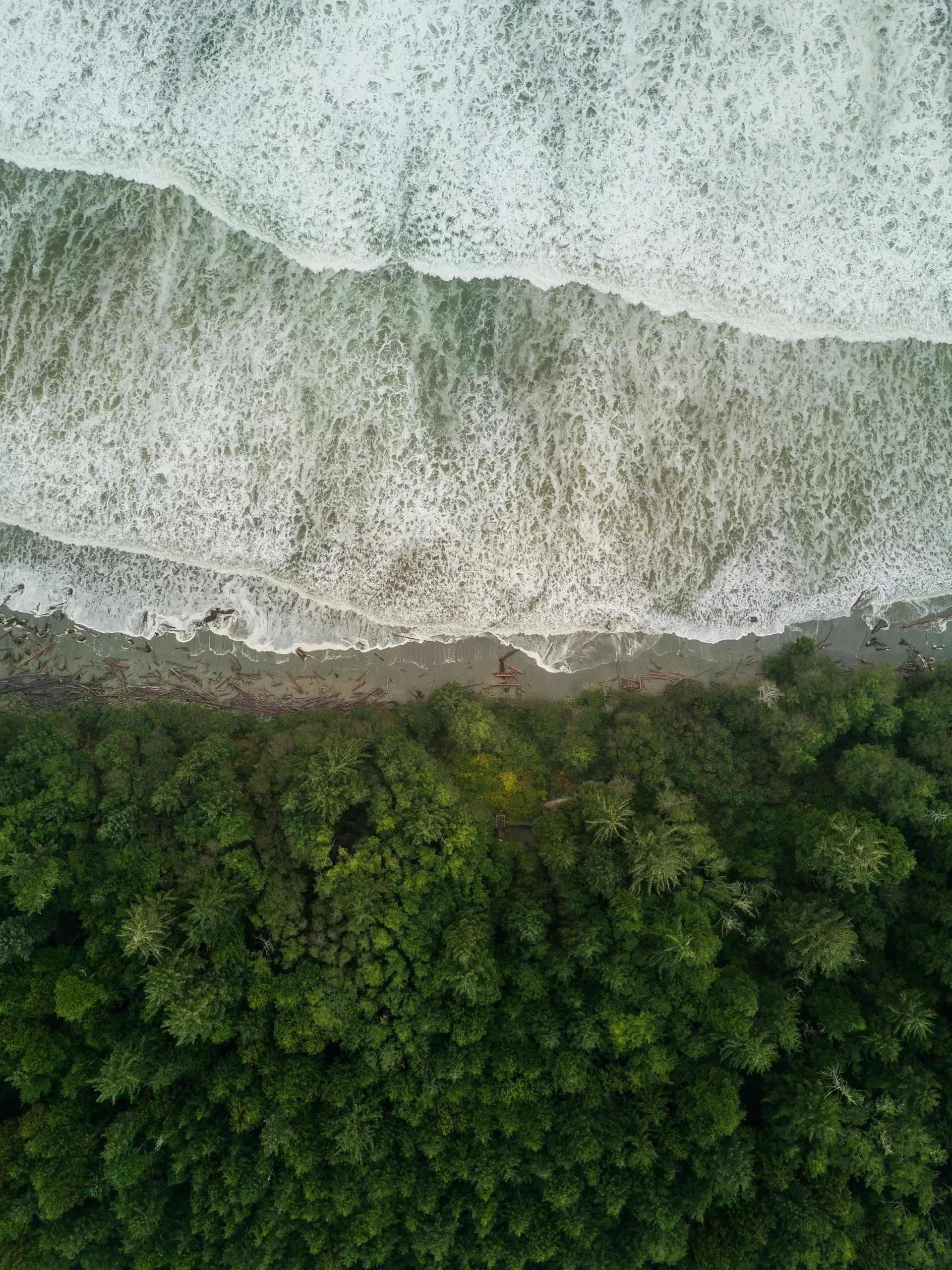 Uitzicht van bovenaf over het strand met bomen van Pacific Rim National Park