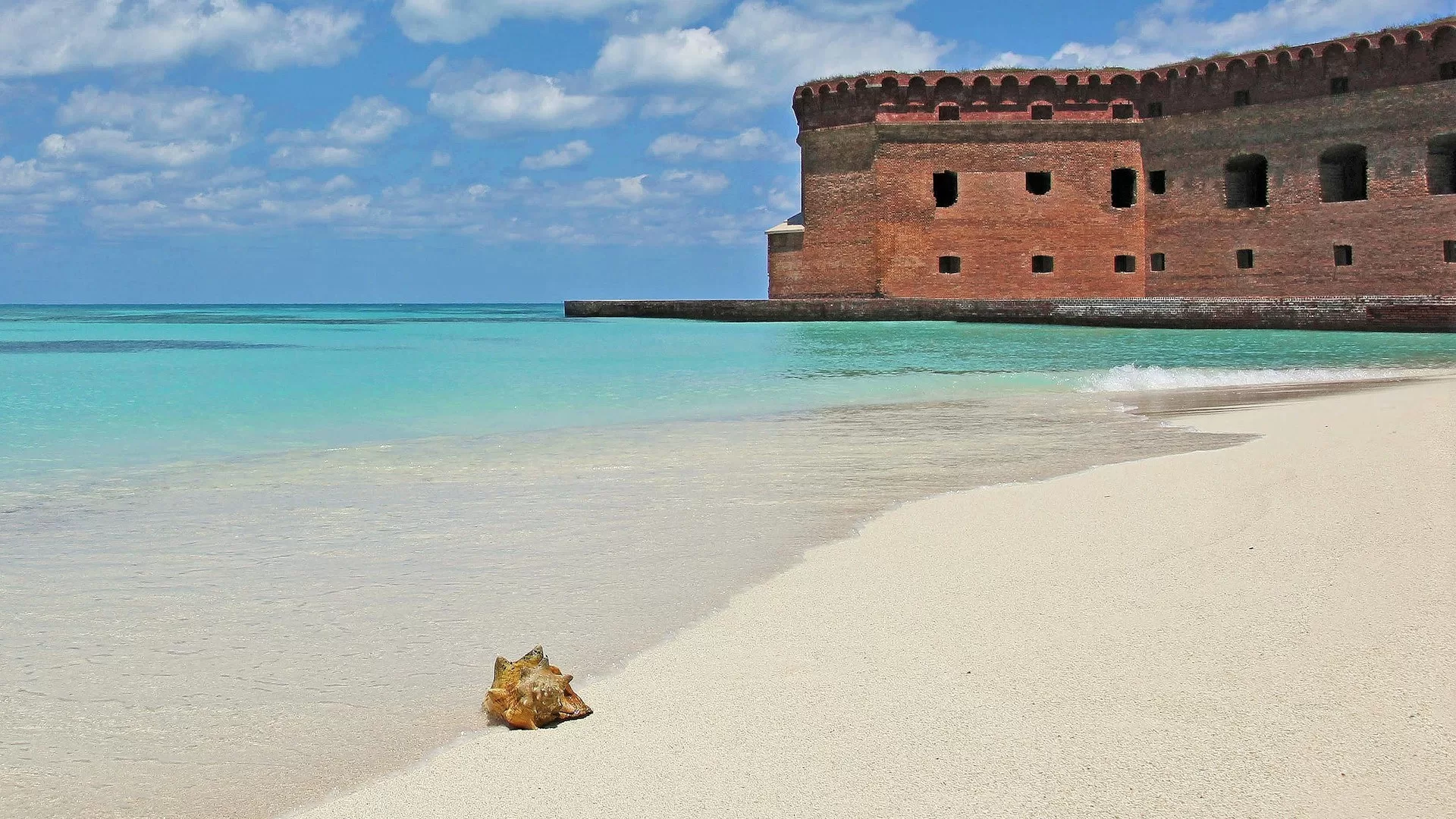 Een schelp op het strand naast Fort Jefferson in Dry Tortugas National Park