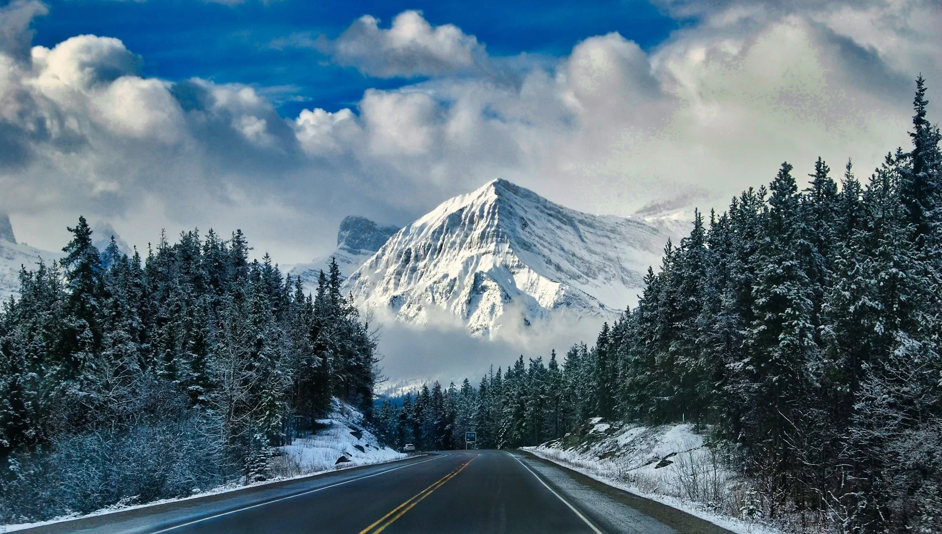 Een weg die hoort bij de Icefields Parkway met besneeuwde bergen op de achtergrond in Alberta