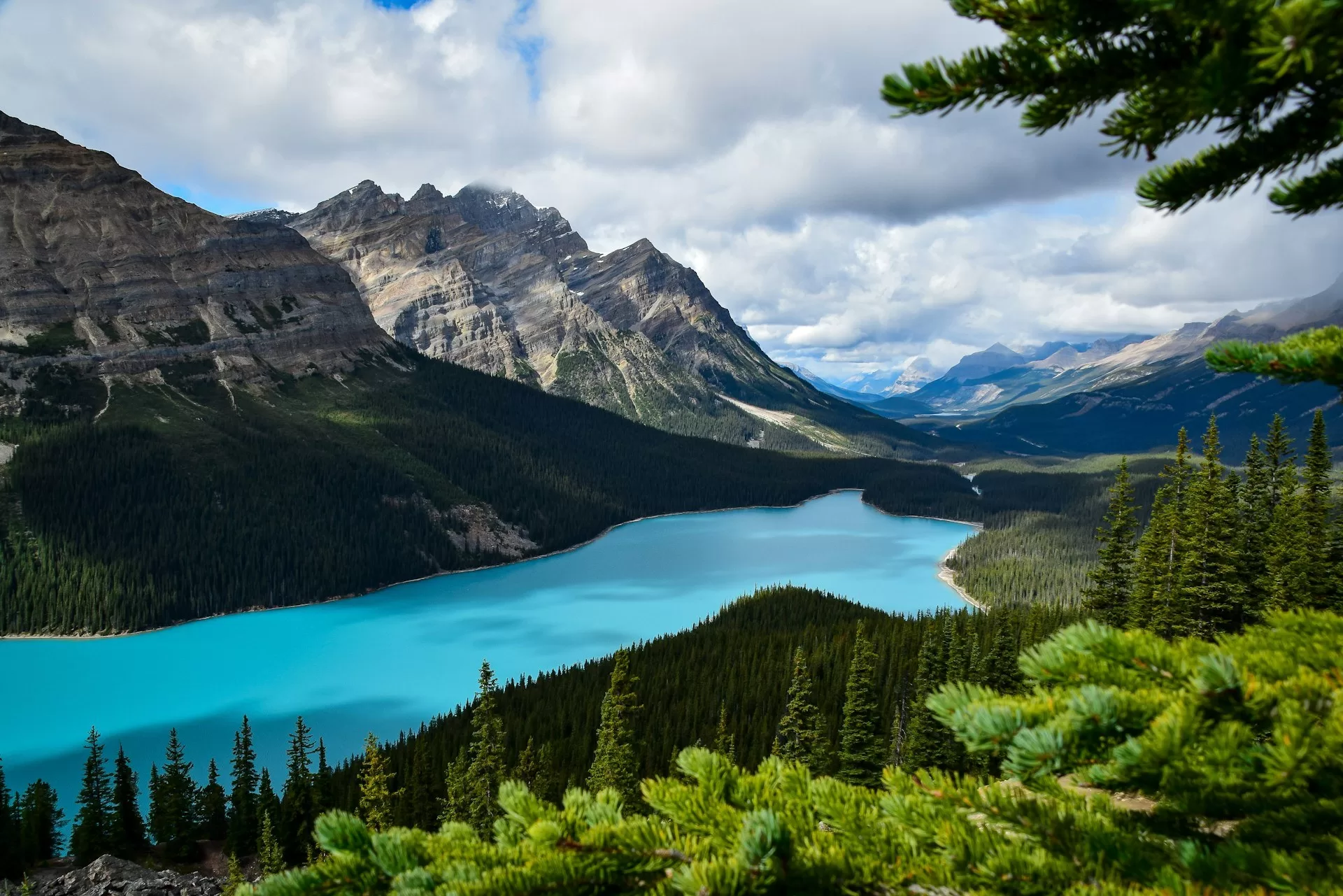 Het helderblauwe water van Peyto Lake in de buurt van de Icefields Parkway in Alberta