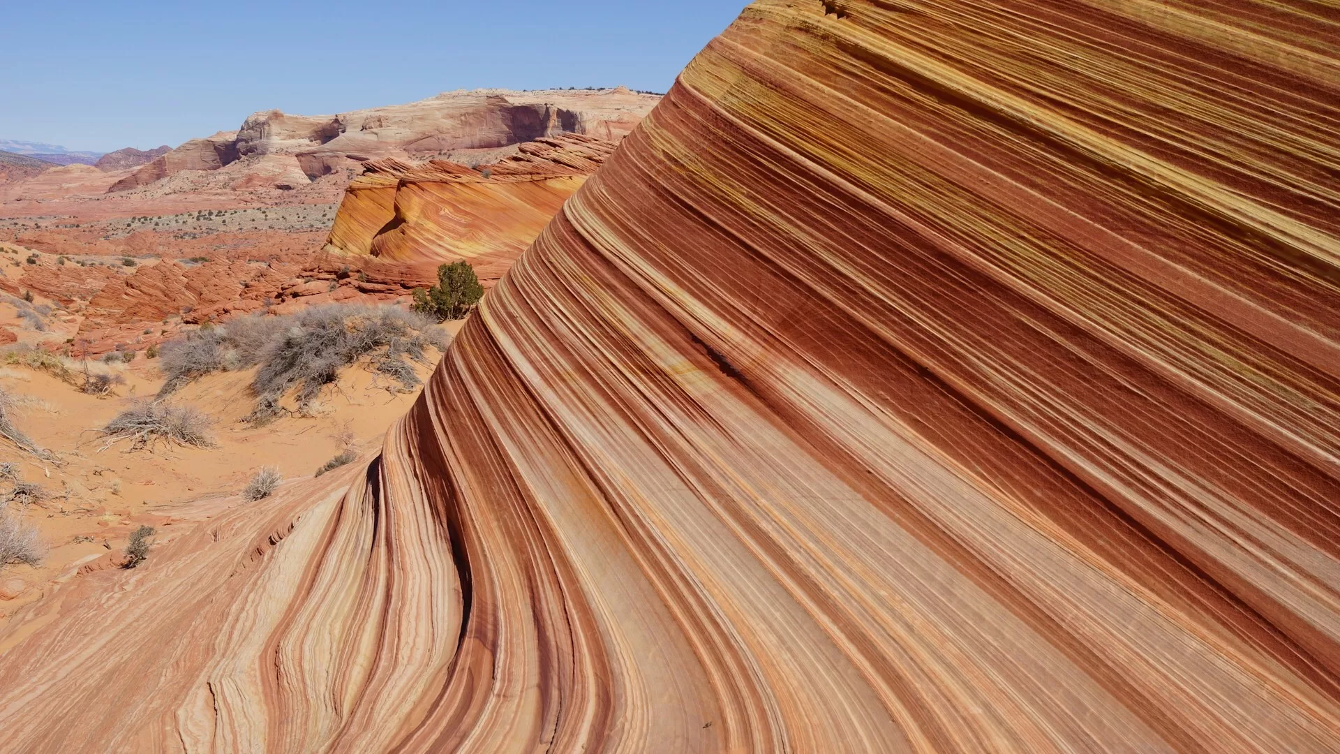 De gekleurde rotsformaties van de Wave Trail in Kanab