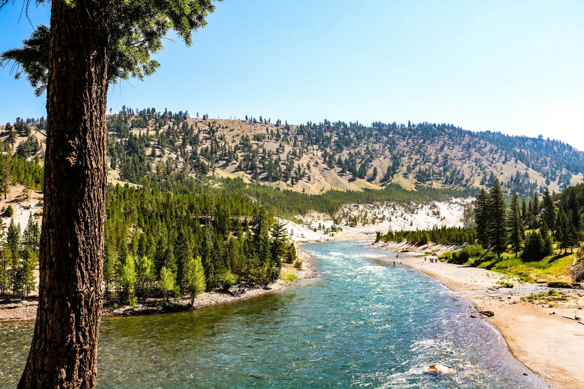 Mooi uitzichtpunt op de Yellowstone River lopend door Yellowstone National Park