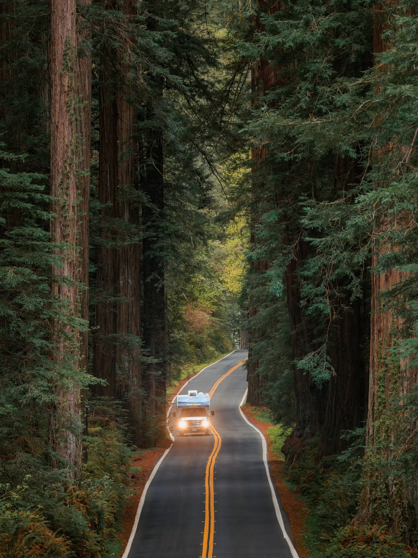 Camper van Cruise America rijdend tussen de hoge bomen in Amerika