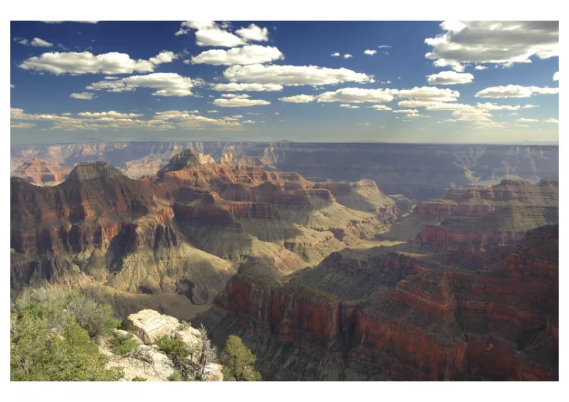 Luchtfoto van de Grand Canyon met duidelijk zichtbare groene vegetatie tussen de roodbruine rotsformaties