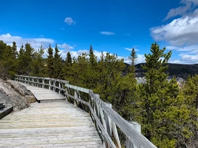 Een houten wandelpad tussen de naaldbomen in Tadoussac, Canada