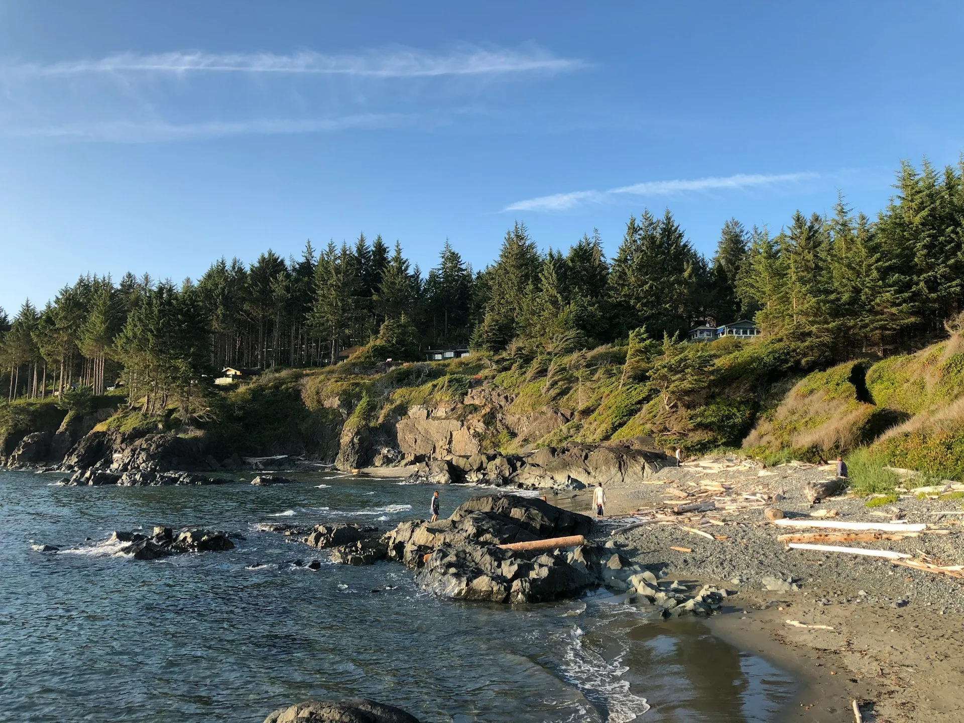 Aangespoeld hout op een strand op Vancouver Island in British Columbia