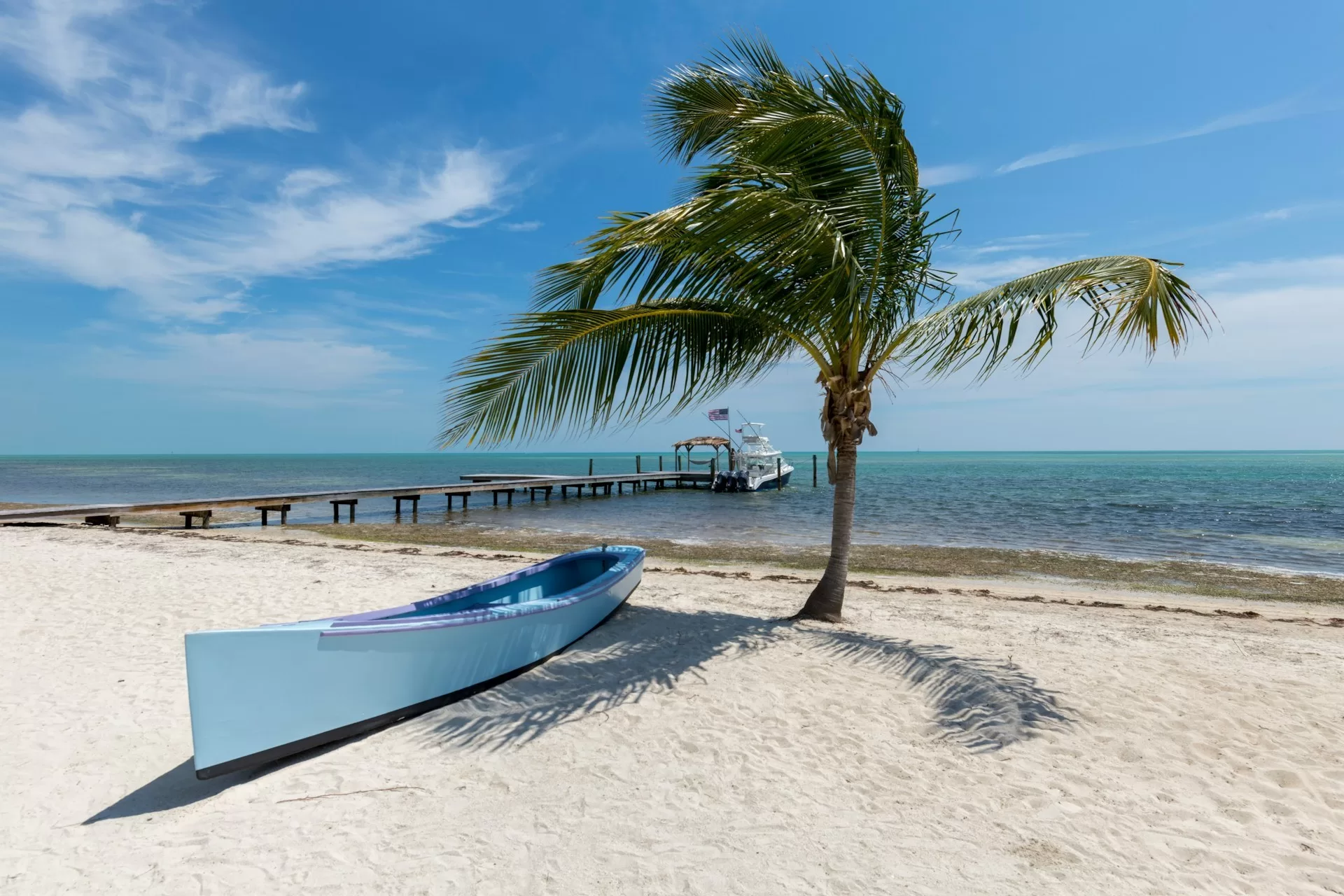 Een bootje naast een palmboom op het strand van Islamorada, Florida Keys