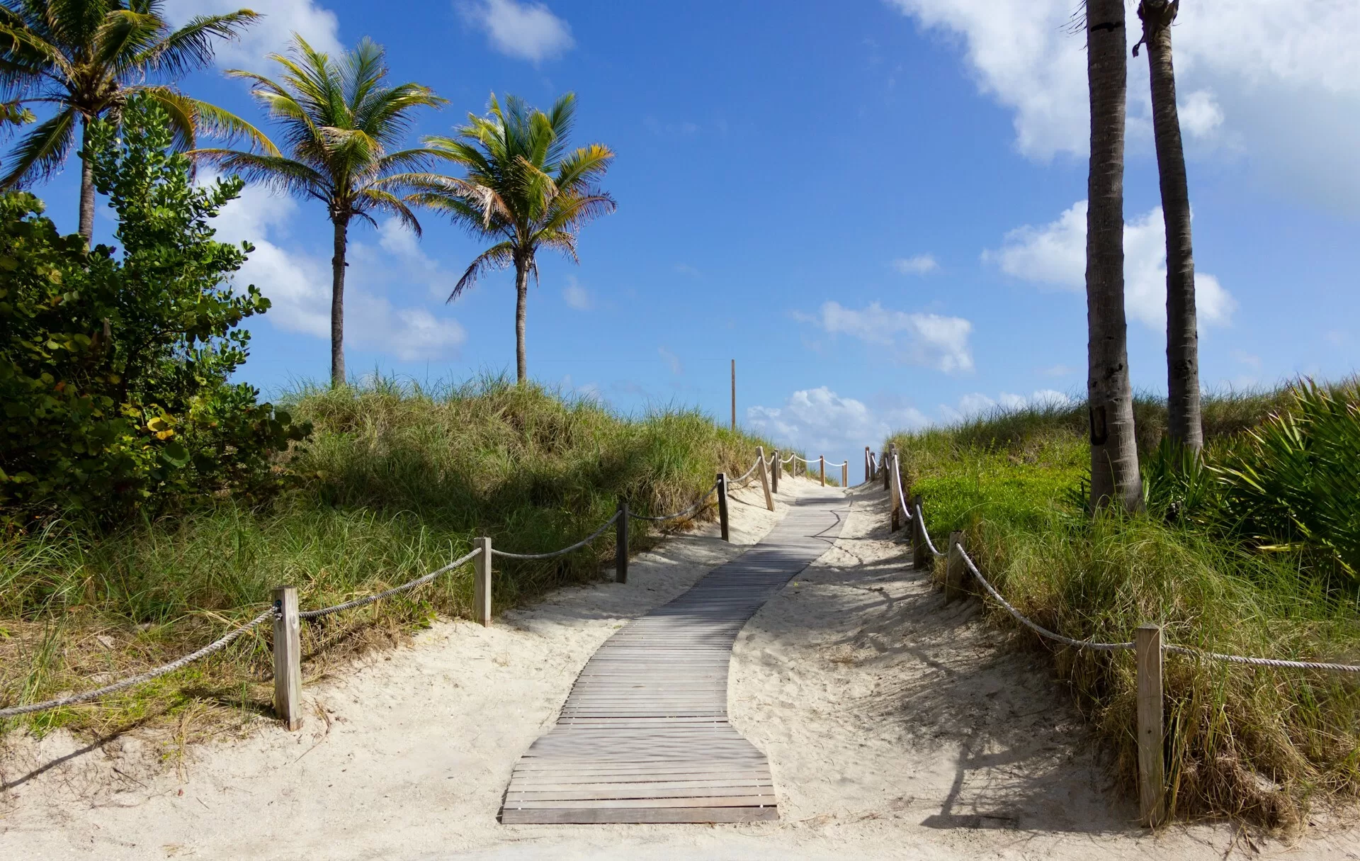 Wandelpad tussen de palmen richting het strand van South Beach Miami