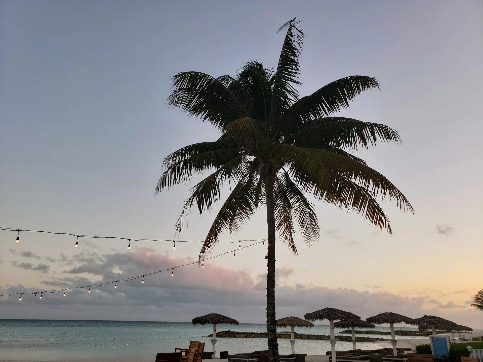 Palmboom met lichtbedden en parasols op de achtergrond bij zonsondergang op de Bahamas