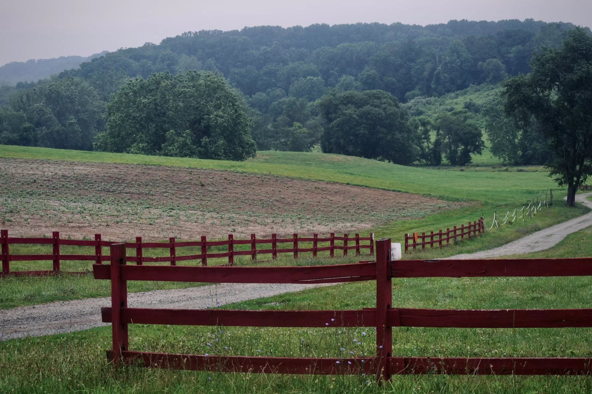 Brandywine Creek State Park in Wilmington, Delaware
