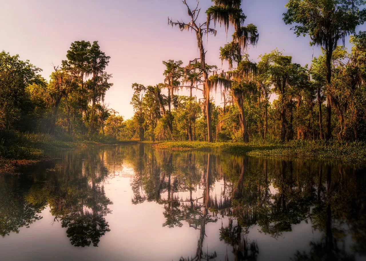 De Bayou Swamp in New Orleans bij zonsondergang