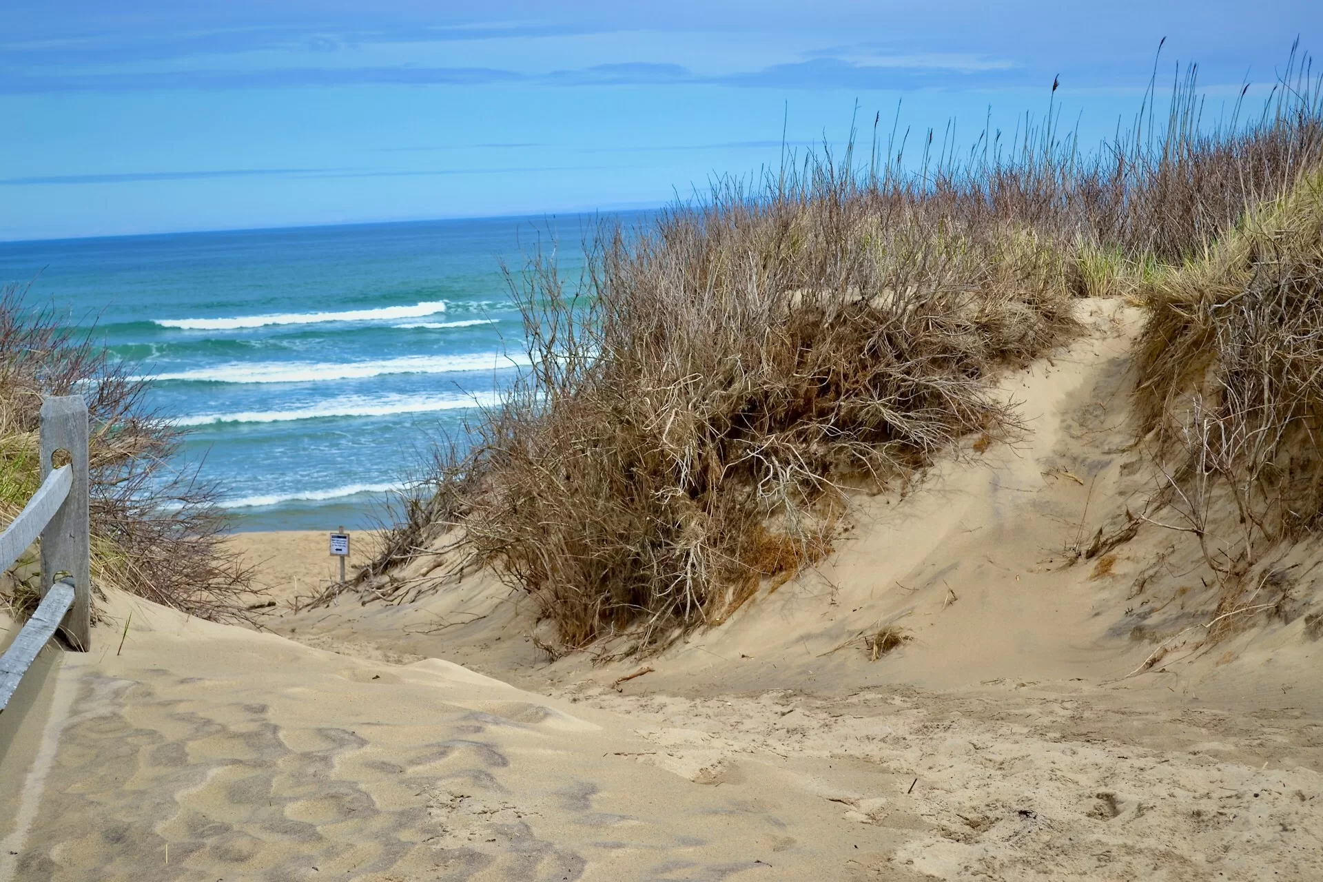 Looppad door de zandduinen van Cape Cod met de zee op de achtergrond