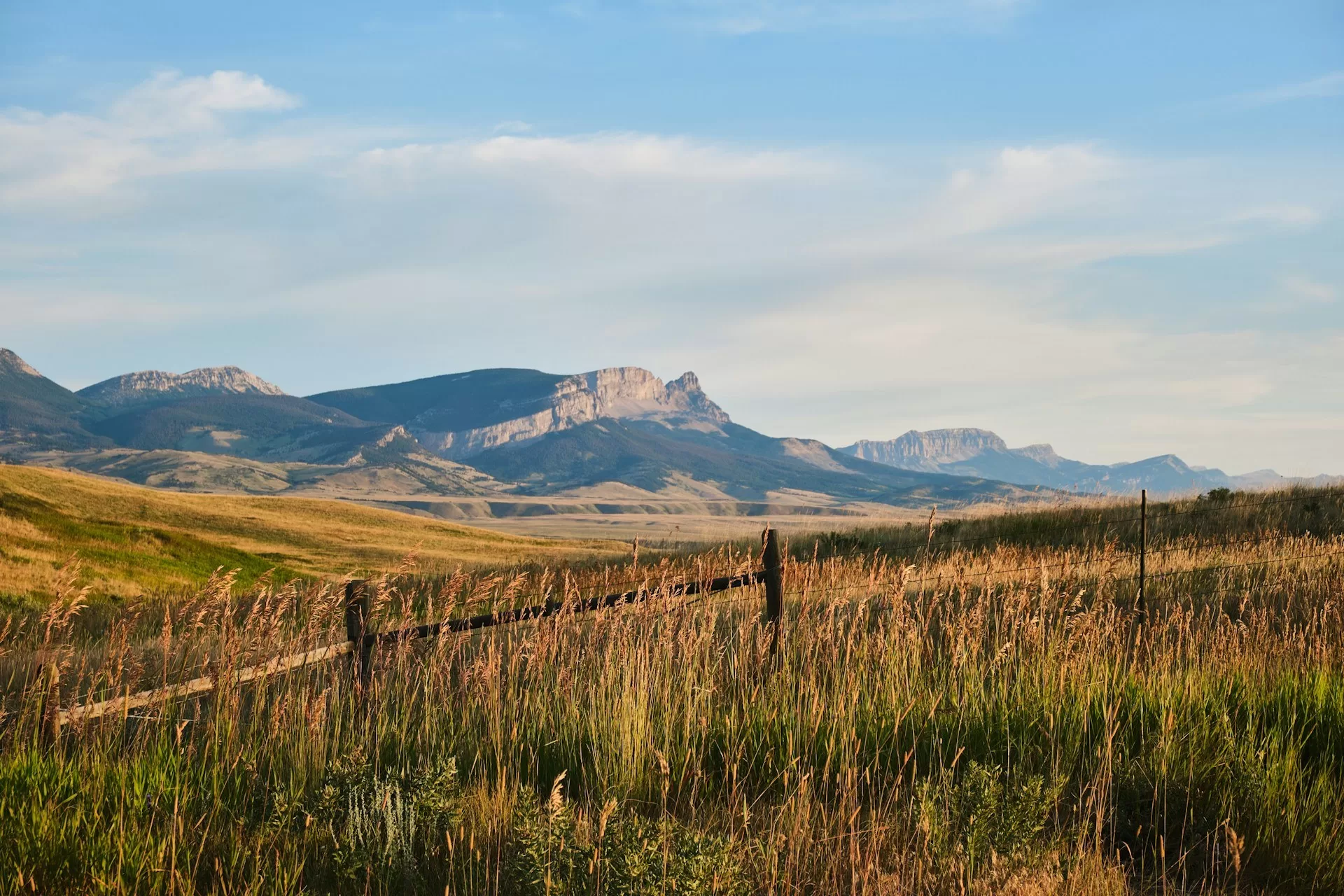 De gouden kleuren van het glooiende landschap in de staat Montana