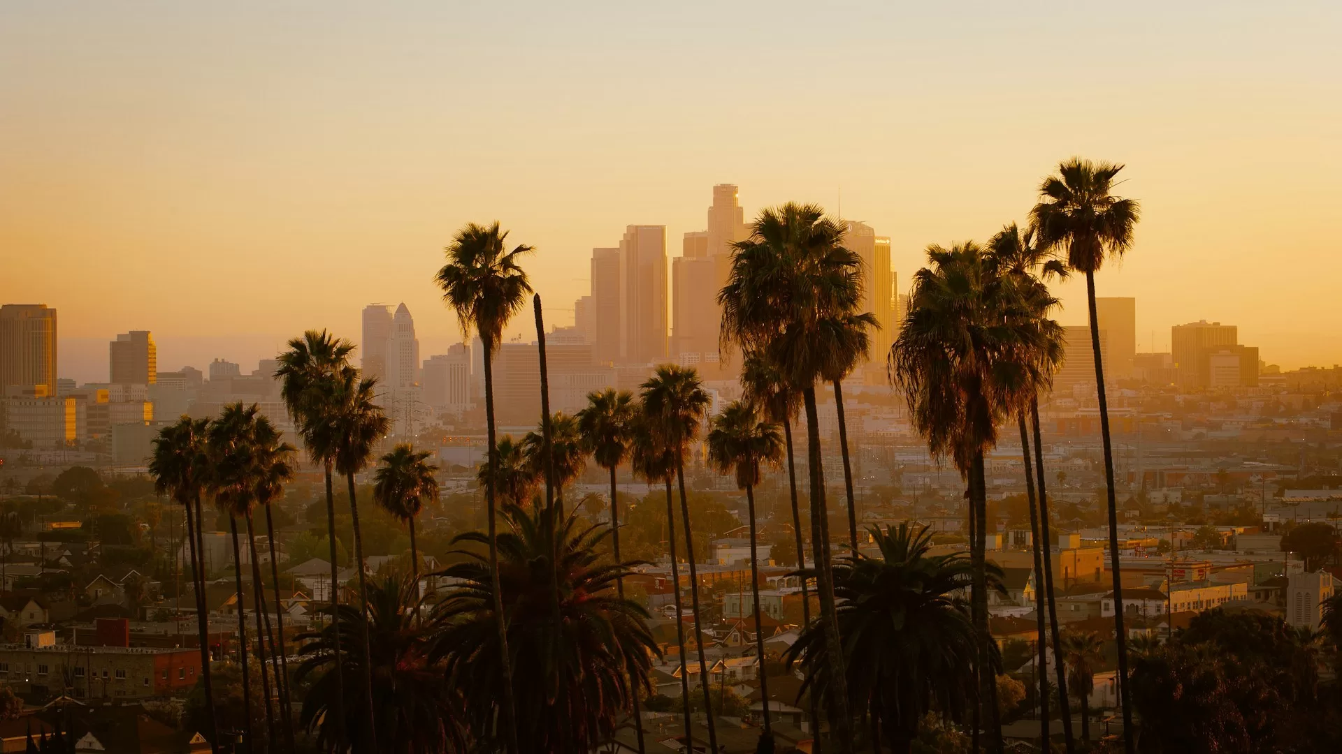 Skyline van Los Angeles met ondergaande zon