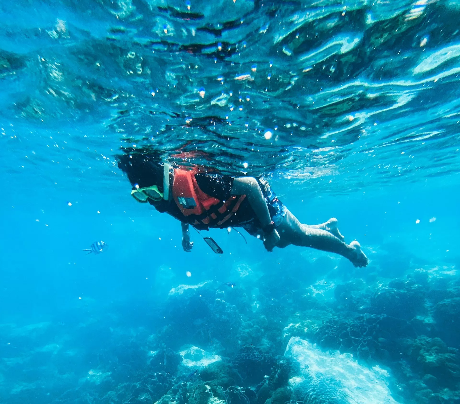 Iemand snorkelt in helder water met koraal zichtbaar op de achtergrond