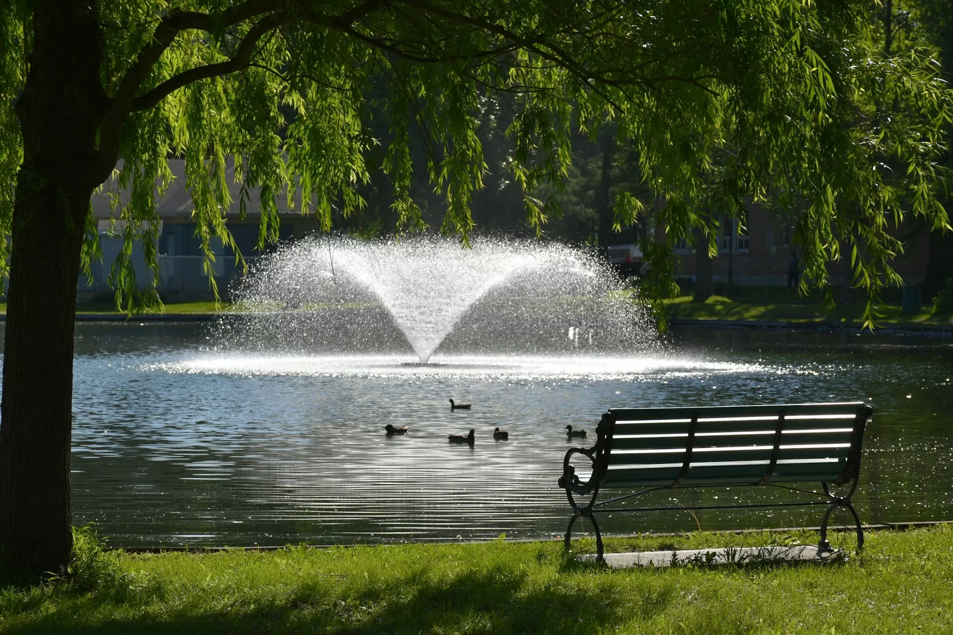 Een fontein in een vijver in het park van Trois Rivieres in Canada