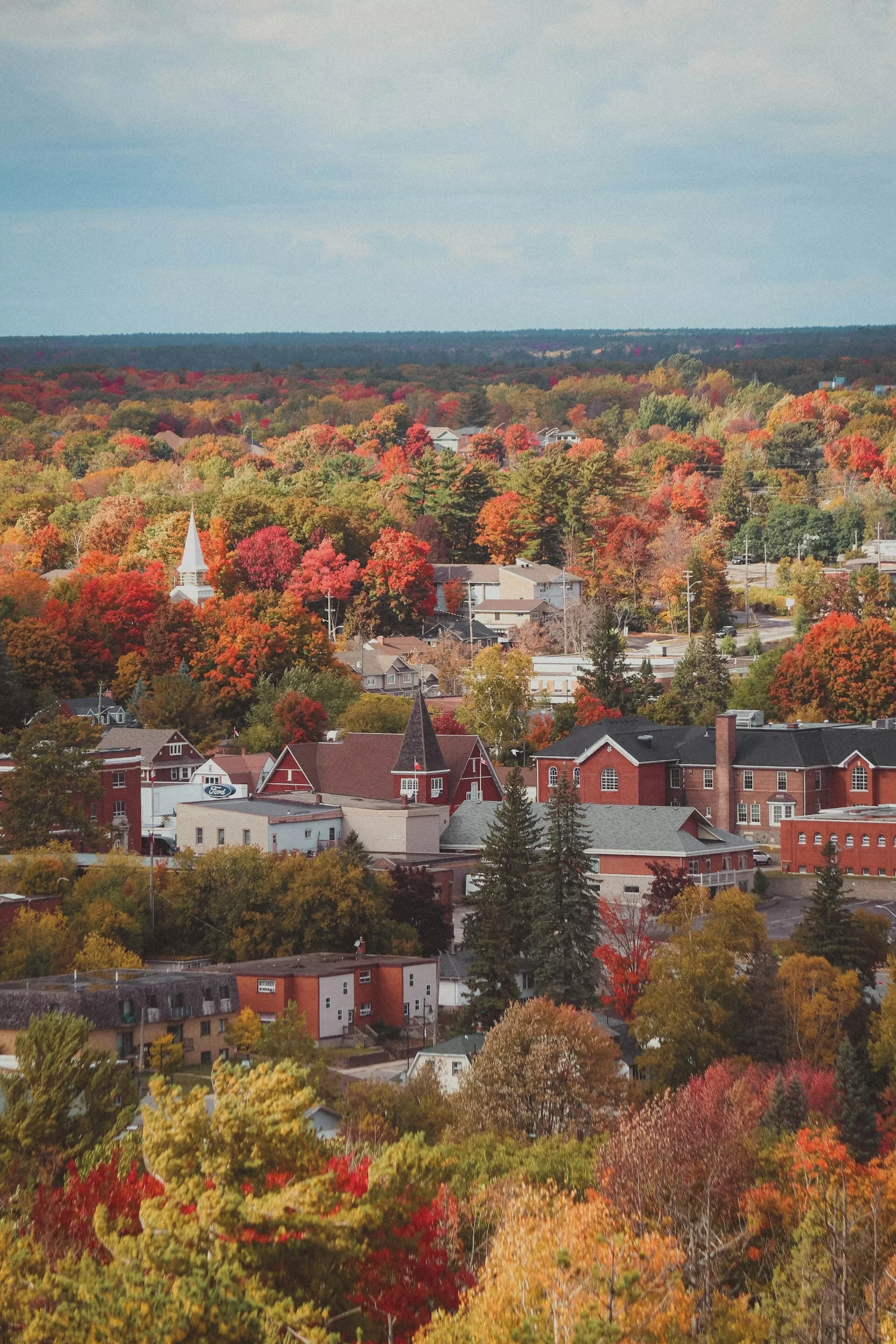 Huizen tussen de gekleurde bomen in Parry Sound, Ontario