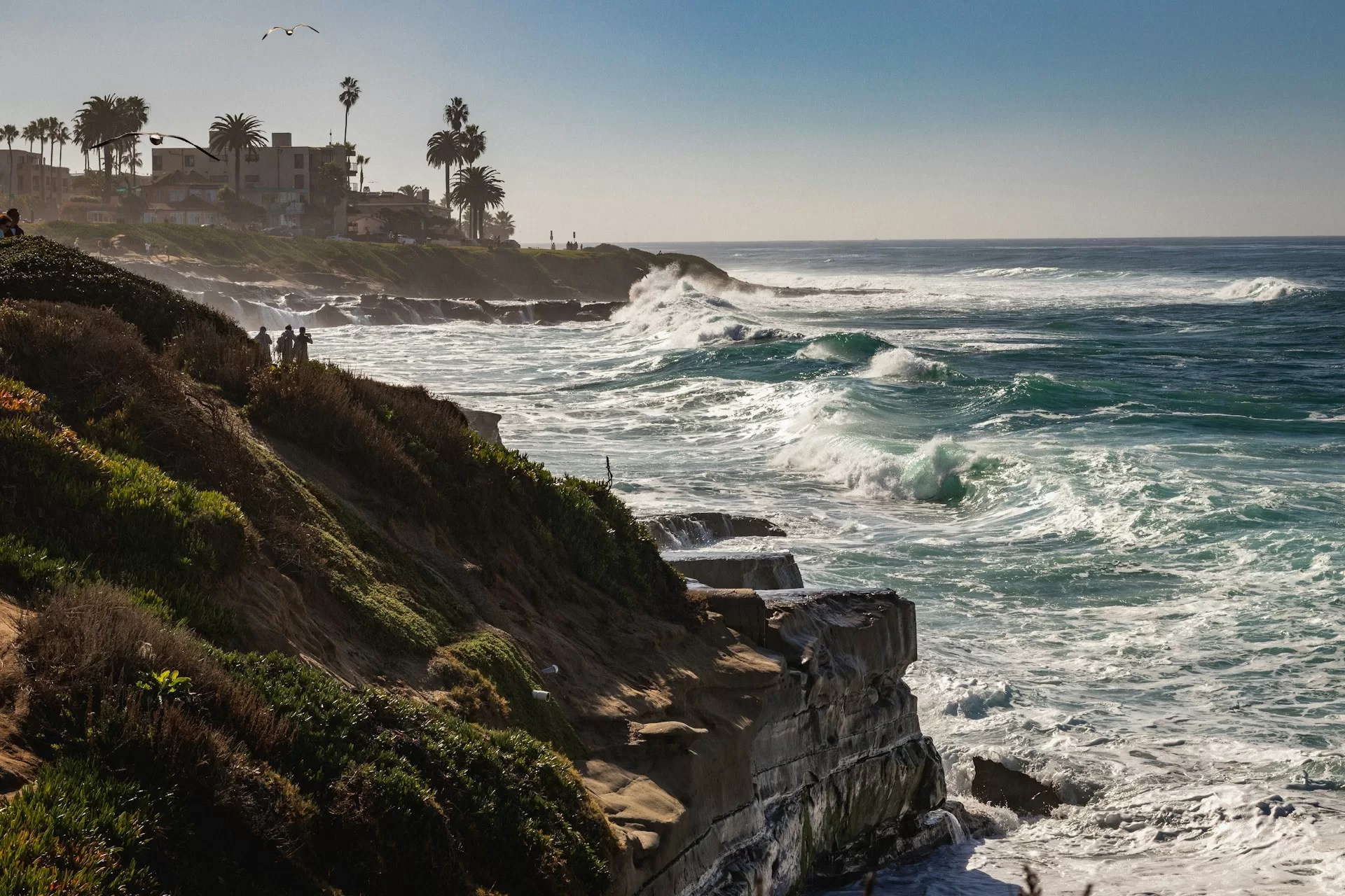 Golven die tegen de rotsen slaan aan de kust van La Jolla, Californië