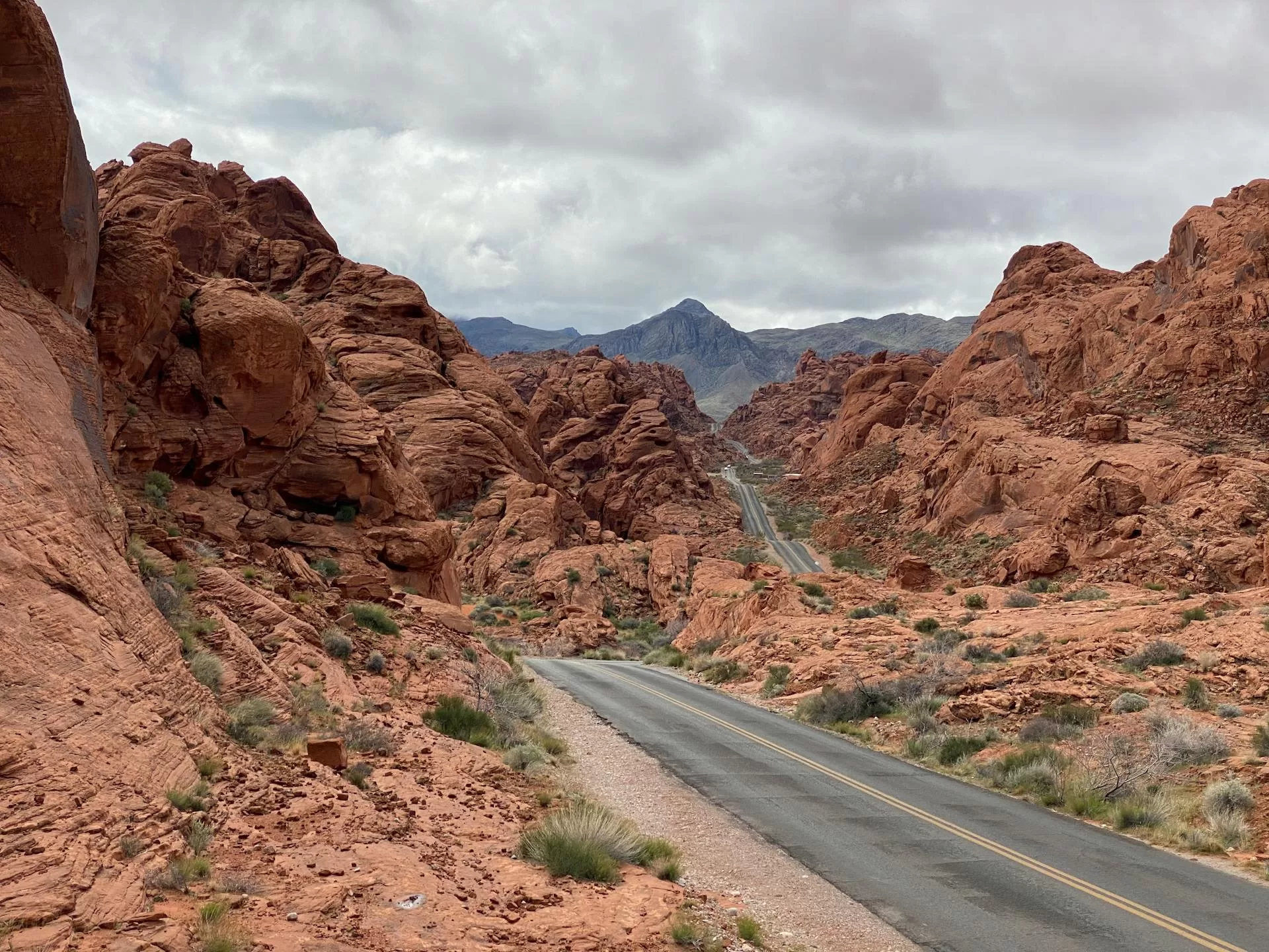 Geasfalteerde weg tussen rode rotsformaties en droog groen in Valley of Fire State Park