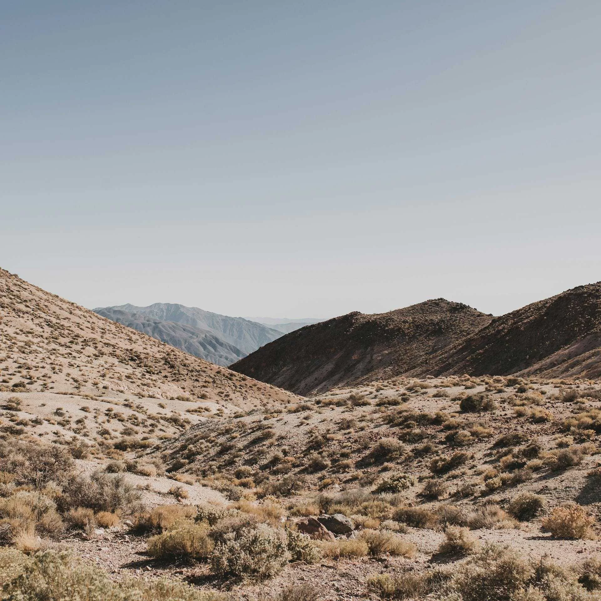 Droog woestijnlandschap met heuvels en verdorde begroeiing in Death Valley National Park