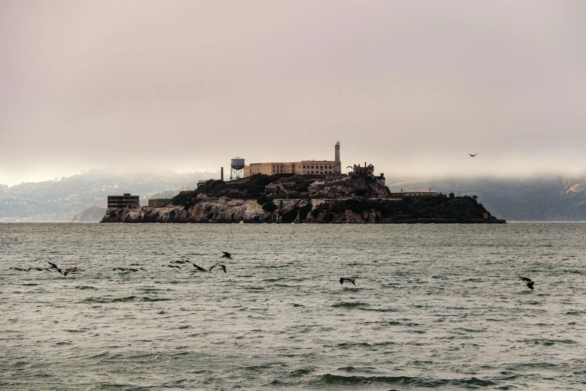 Uitzicht op Alcatraz Island vanaf zee met vogels in het water, beroemde gevangenis in San Francisco Bay