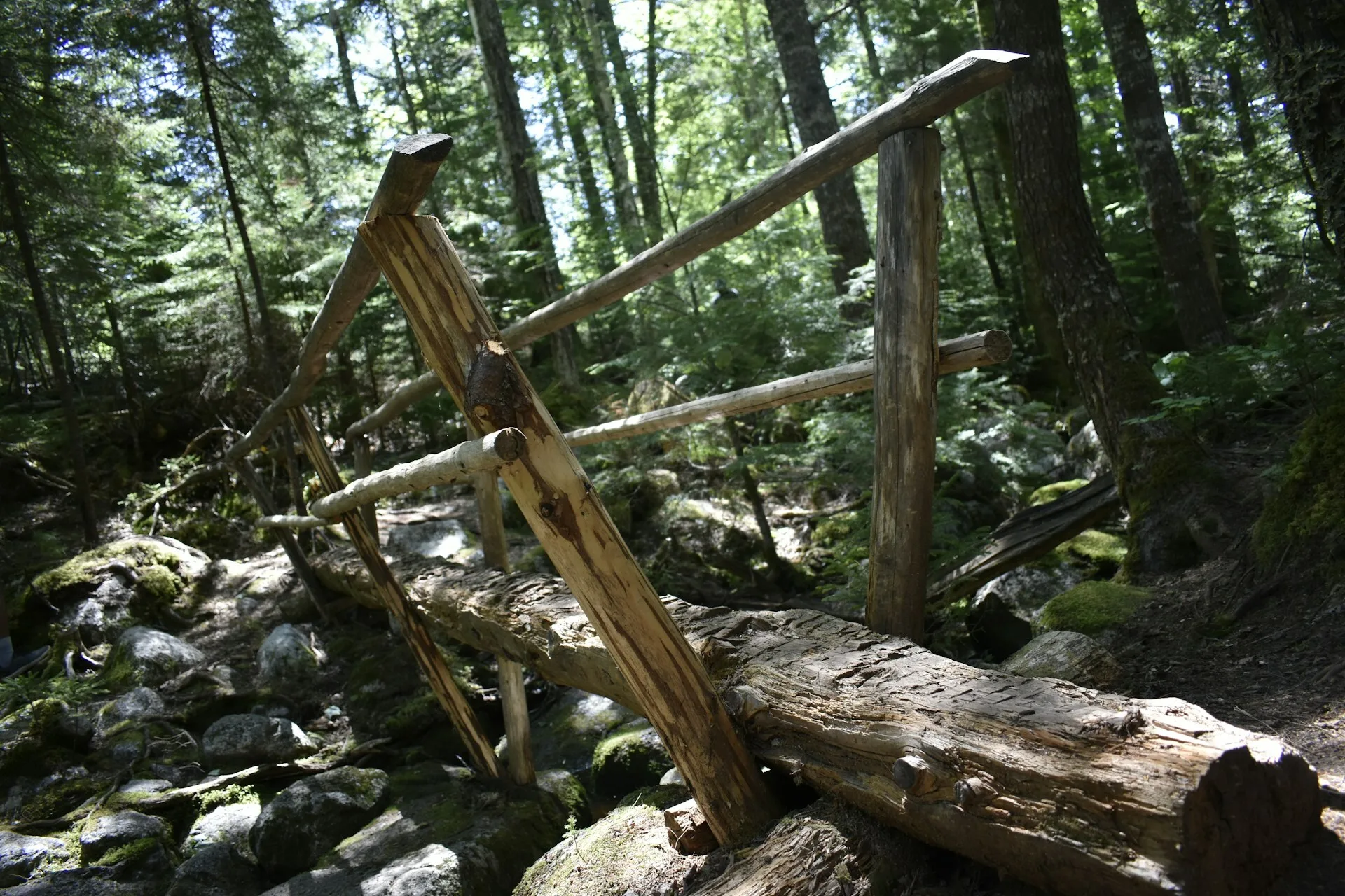 Een brug op een van de wandelpaden in Liscomb, Nova Scotia