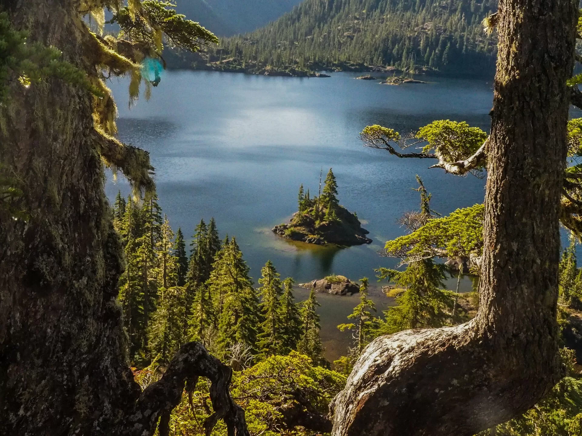 Een eilandje op het meer van Strathcona Provincial Park op Vancouver Island