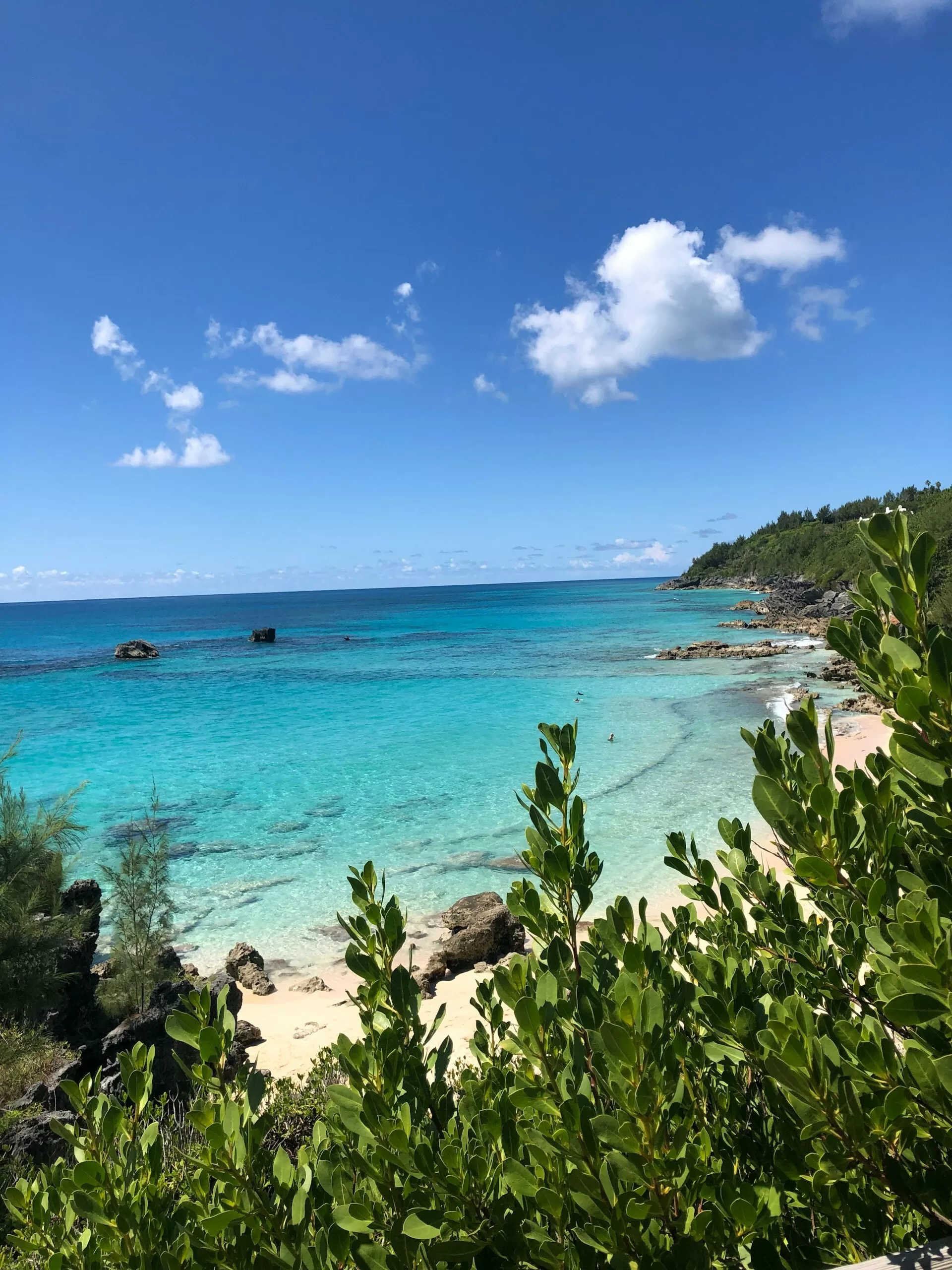 Rotsen aan de kust met helderblauw zeewater op Bermuda in de Caribbean
