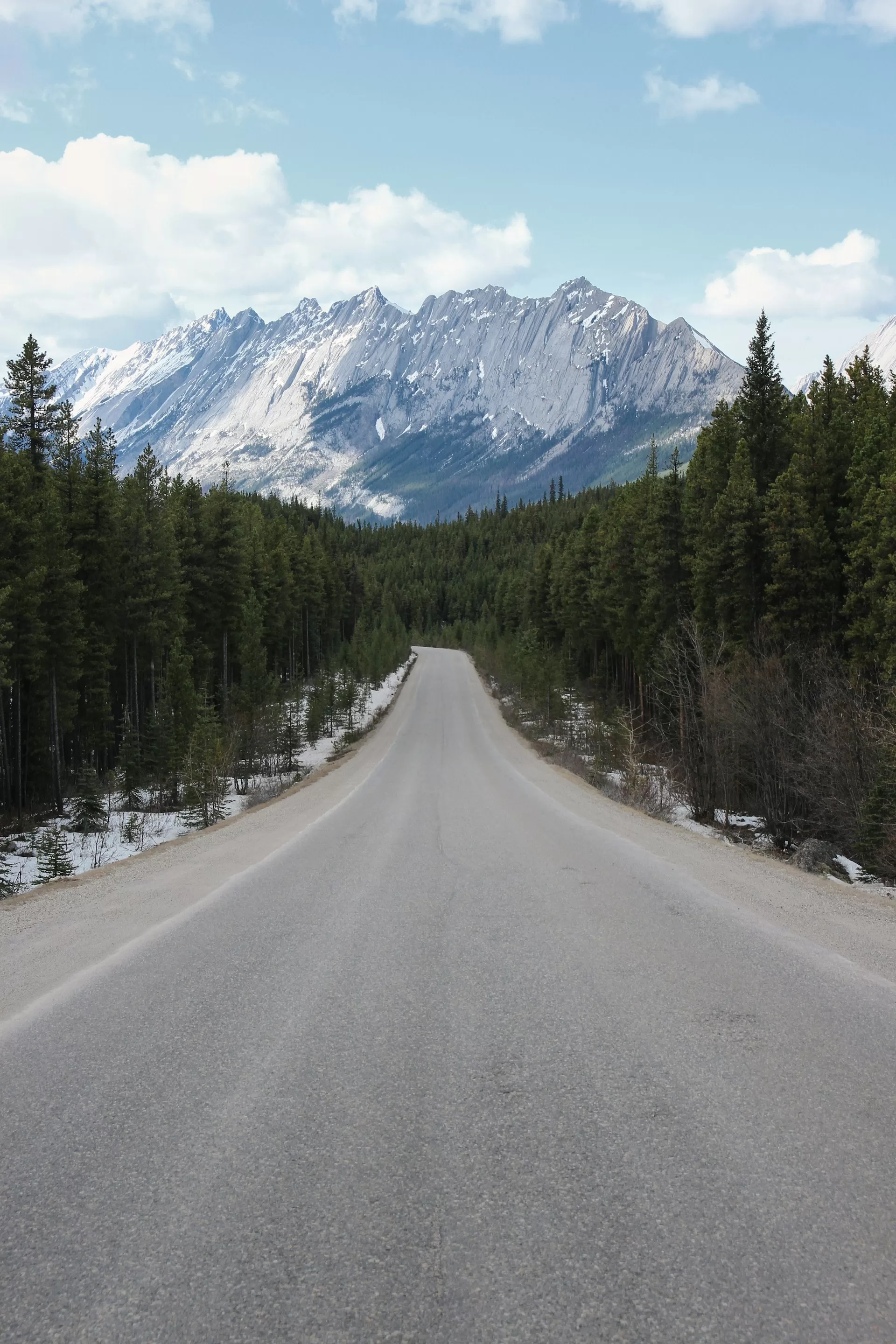 Landschapsfoto van een weg omringd door dennenbomen, met de imposante Rocky Mountains op de achtergrond