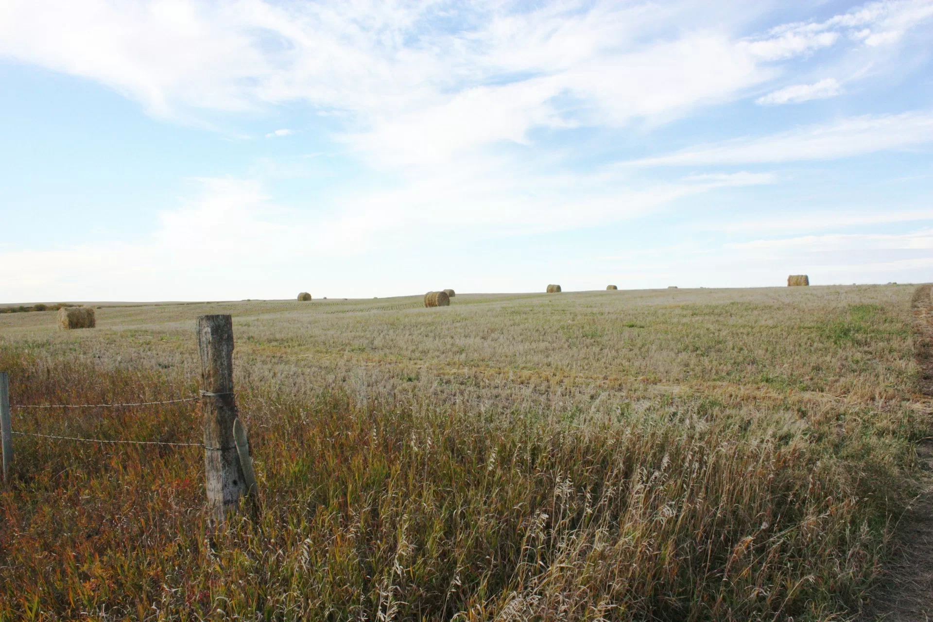 Weidevelden van de Touchwood Hills in Saskatchewan