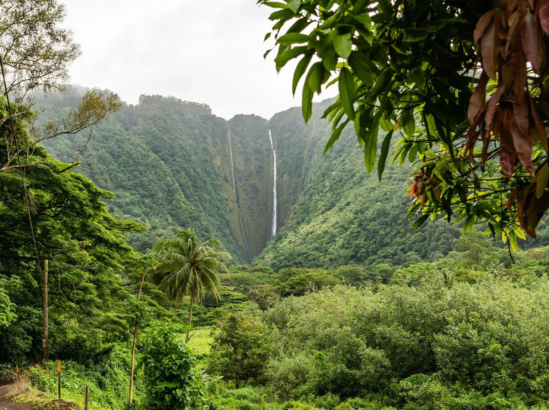 Hi’ilawe Falls in the Waipio Valley Big Island Hawaii