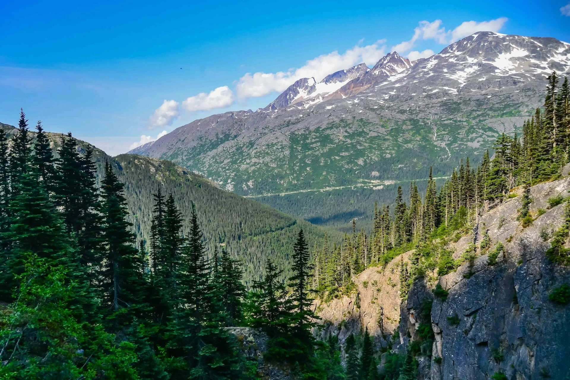 Bergen met bomen en besneeuwde toppen in Skagway, Alaska