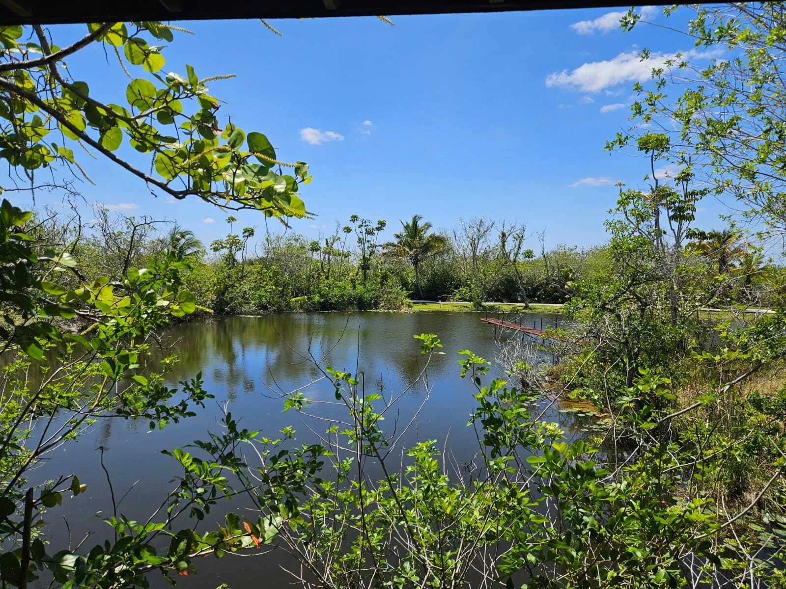 Een meer in het Everglades Safari Park in Florida