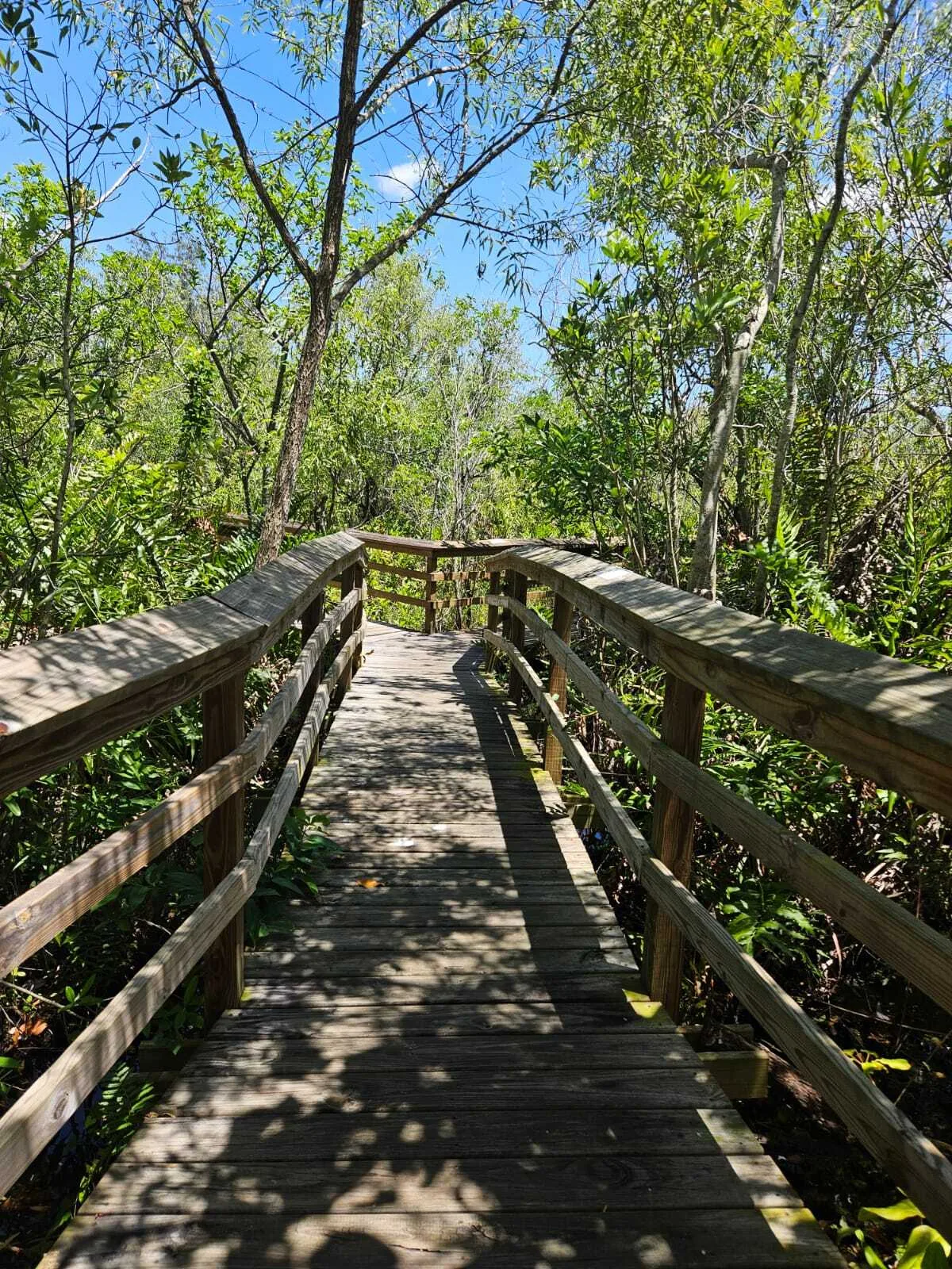 Een houten pad door het Everglades Safari Park in Florida