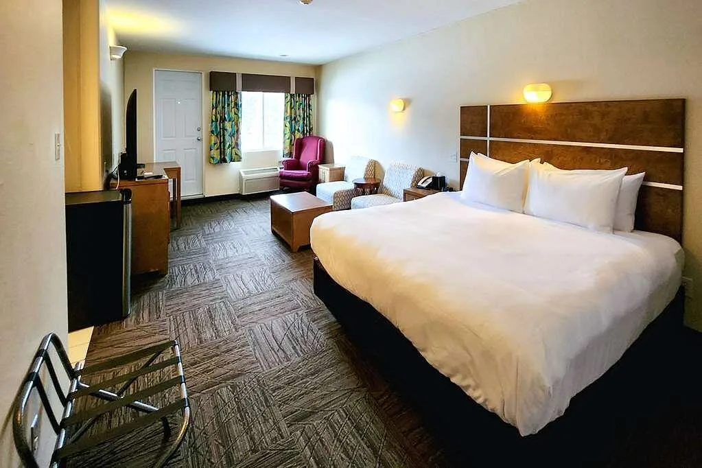 Standaardkamer in het Hotel Quality Inn Suites Clearwater
