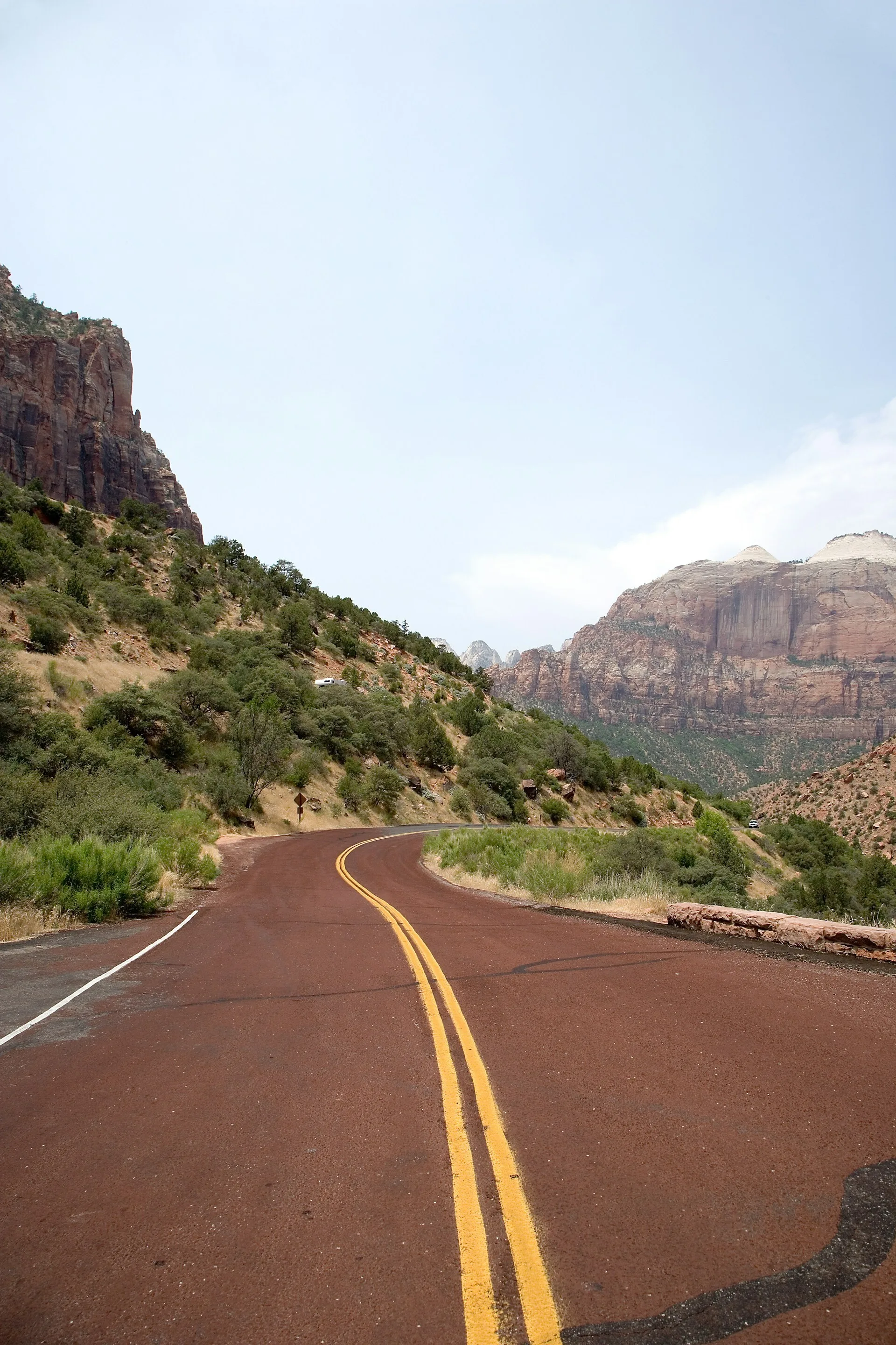 Een roodgekleurde weg met gele striping door Zion National Park in Utah