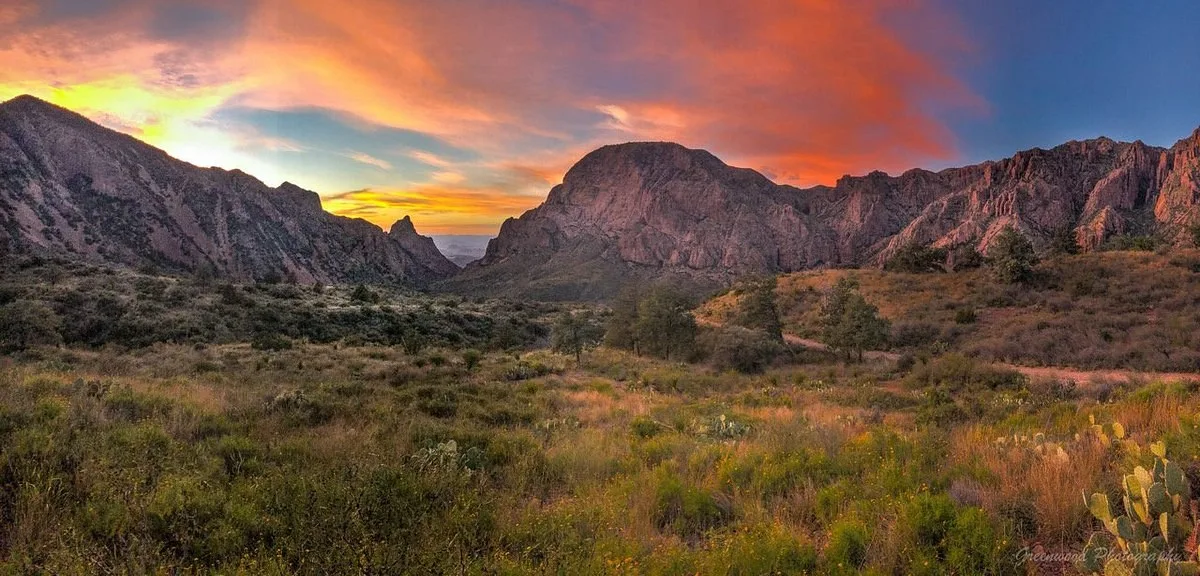 Een weide met rotsformaties op de achtergrond nabij het Hotel Chisos Mountains Lodge