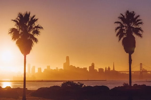 De skyline van San Francisco bij ondergaande zon met 2 palmbomen op de voorgrond