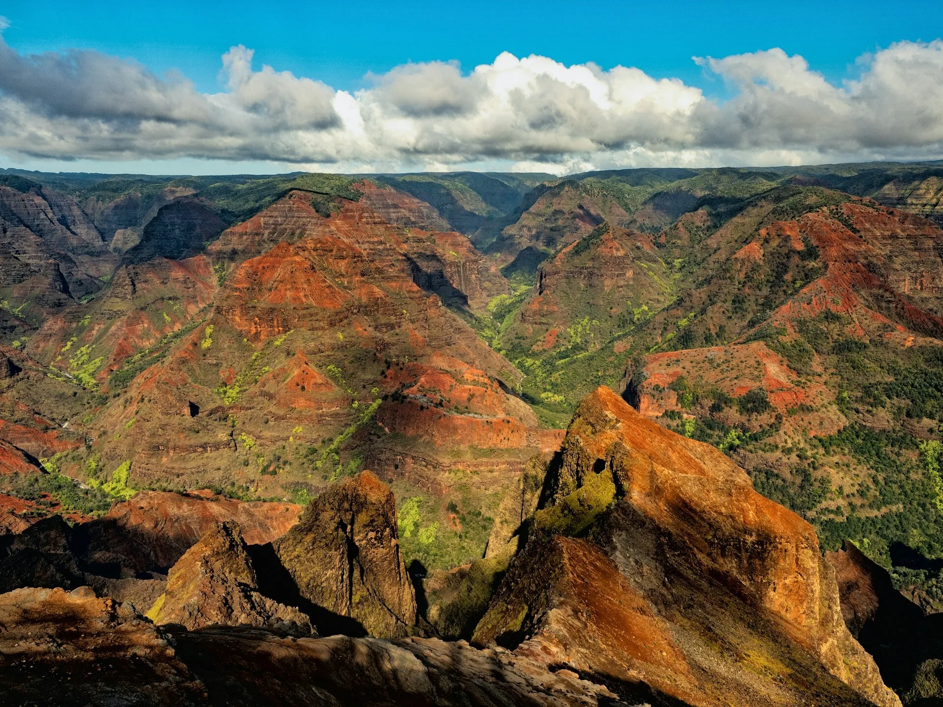 Uitzicht over de Waimea Canyon op Kauai