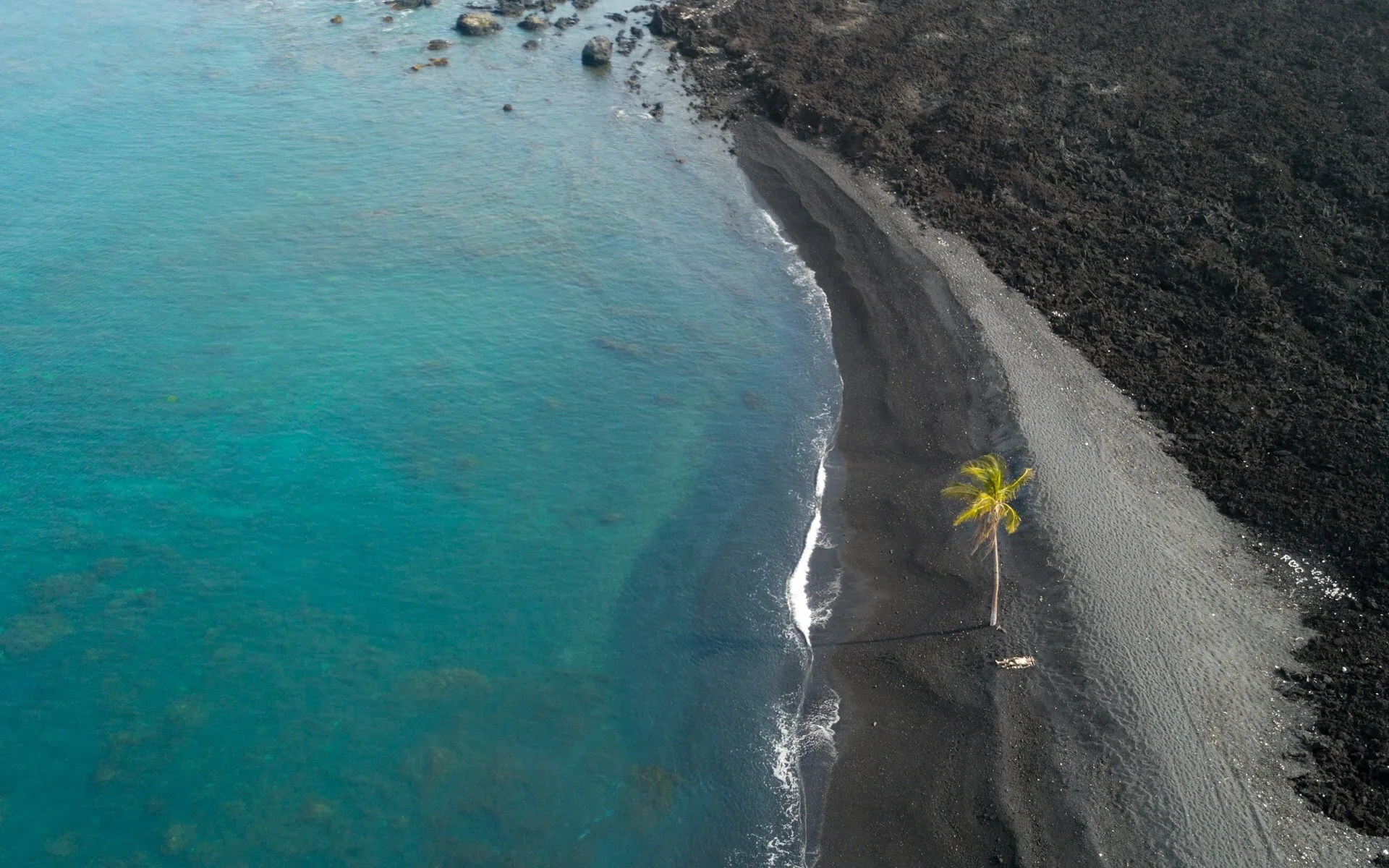 Zwart strand met een palmboom in Kailua-Kona, Big Island