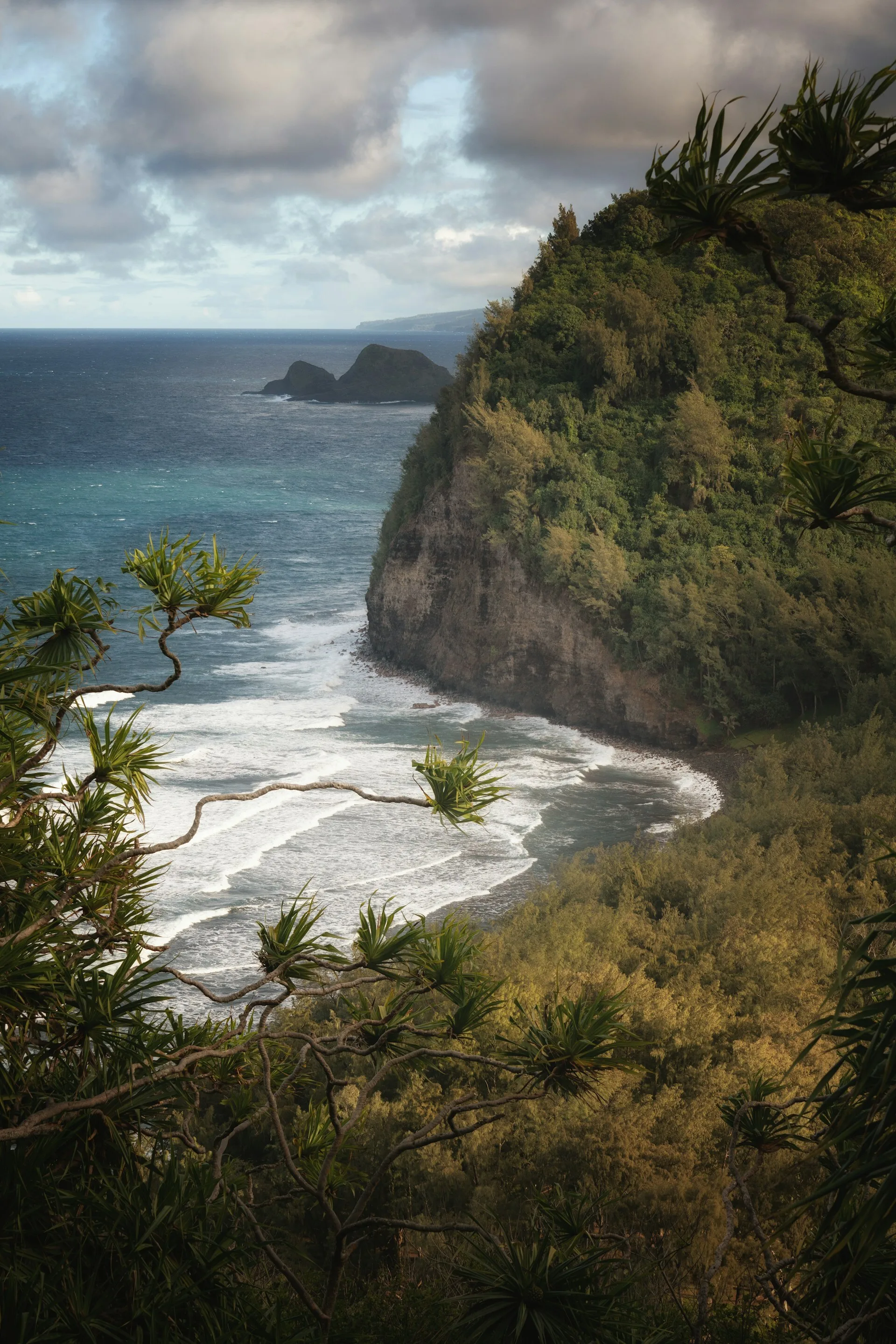 Uitzicht over de groene rotsen langs het water van Hilo, Big Island