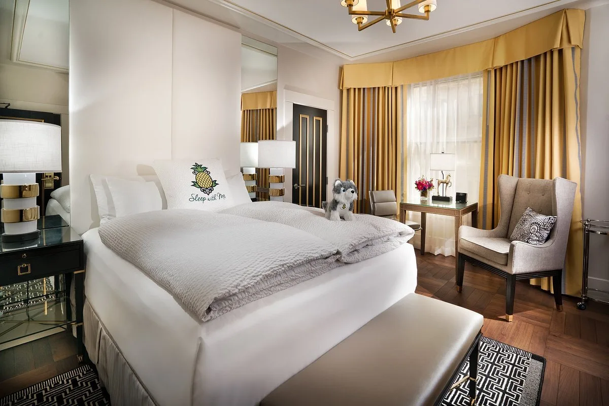 Hotelkamer in het Hotel staypineapple sfo
