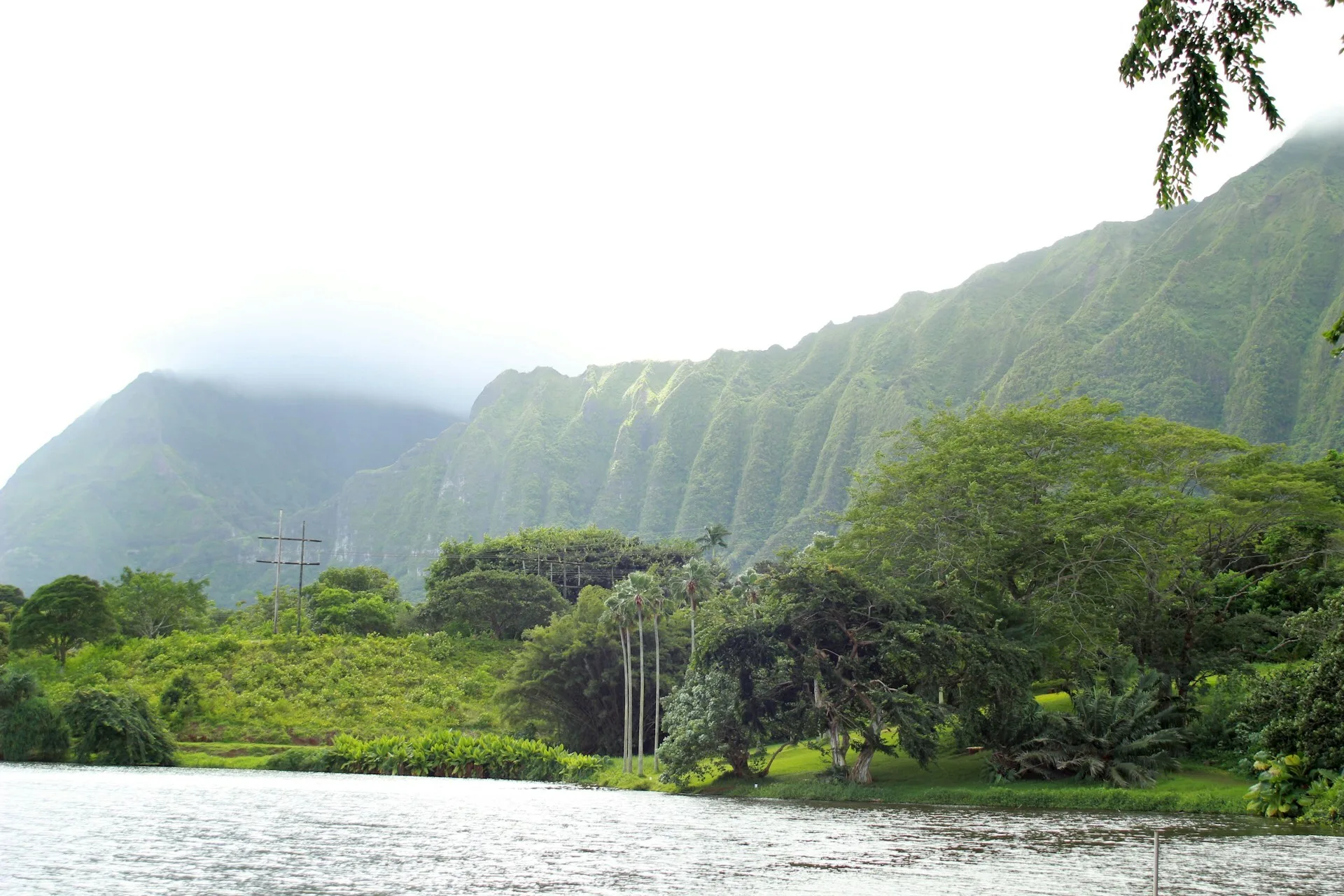 Water en groene wouden van de Kualoa Ranch op Oahu, Hawaii