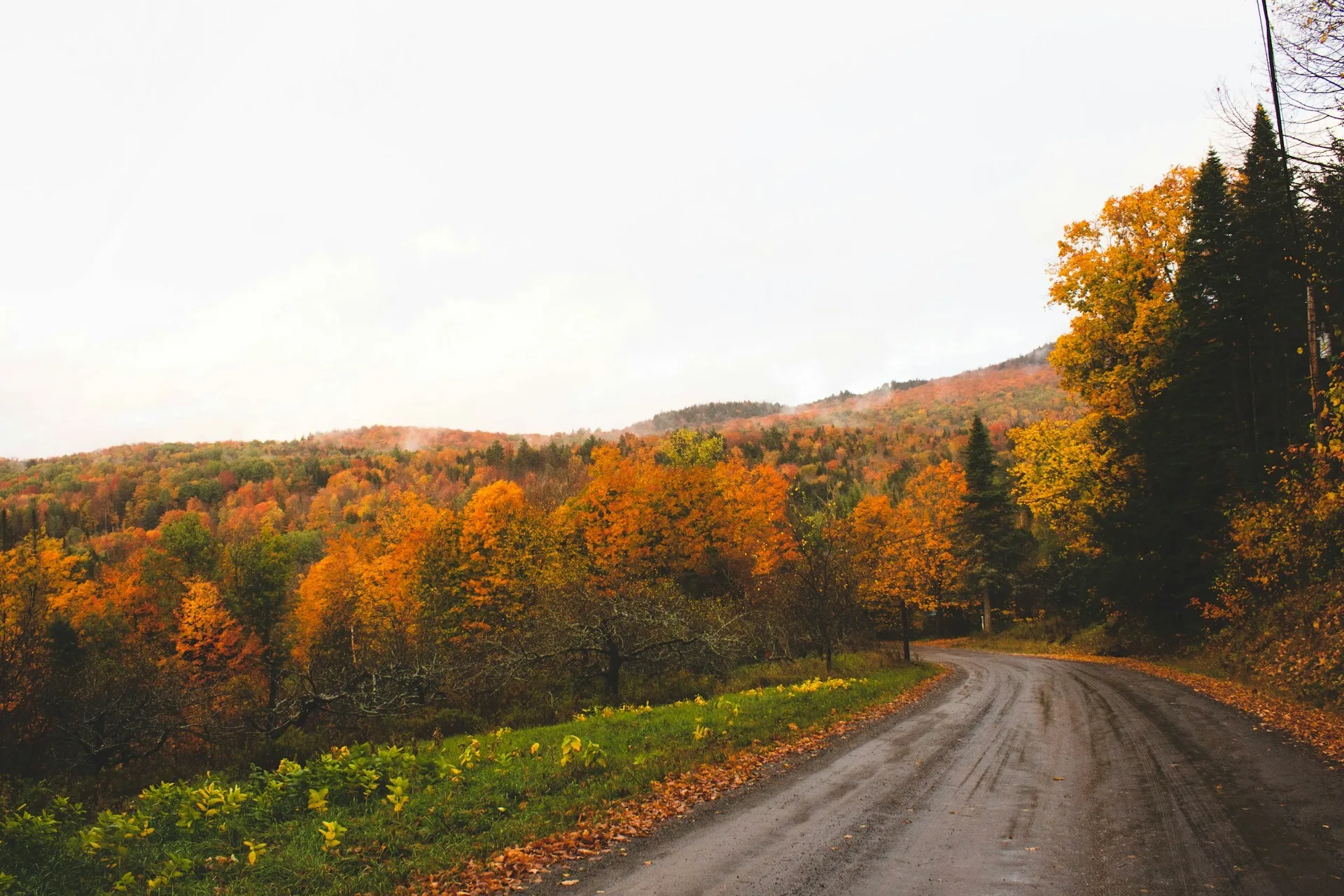 Gekleurde bomen in Vermont