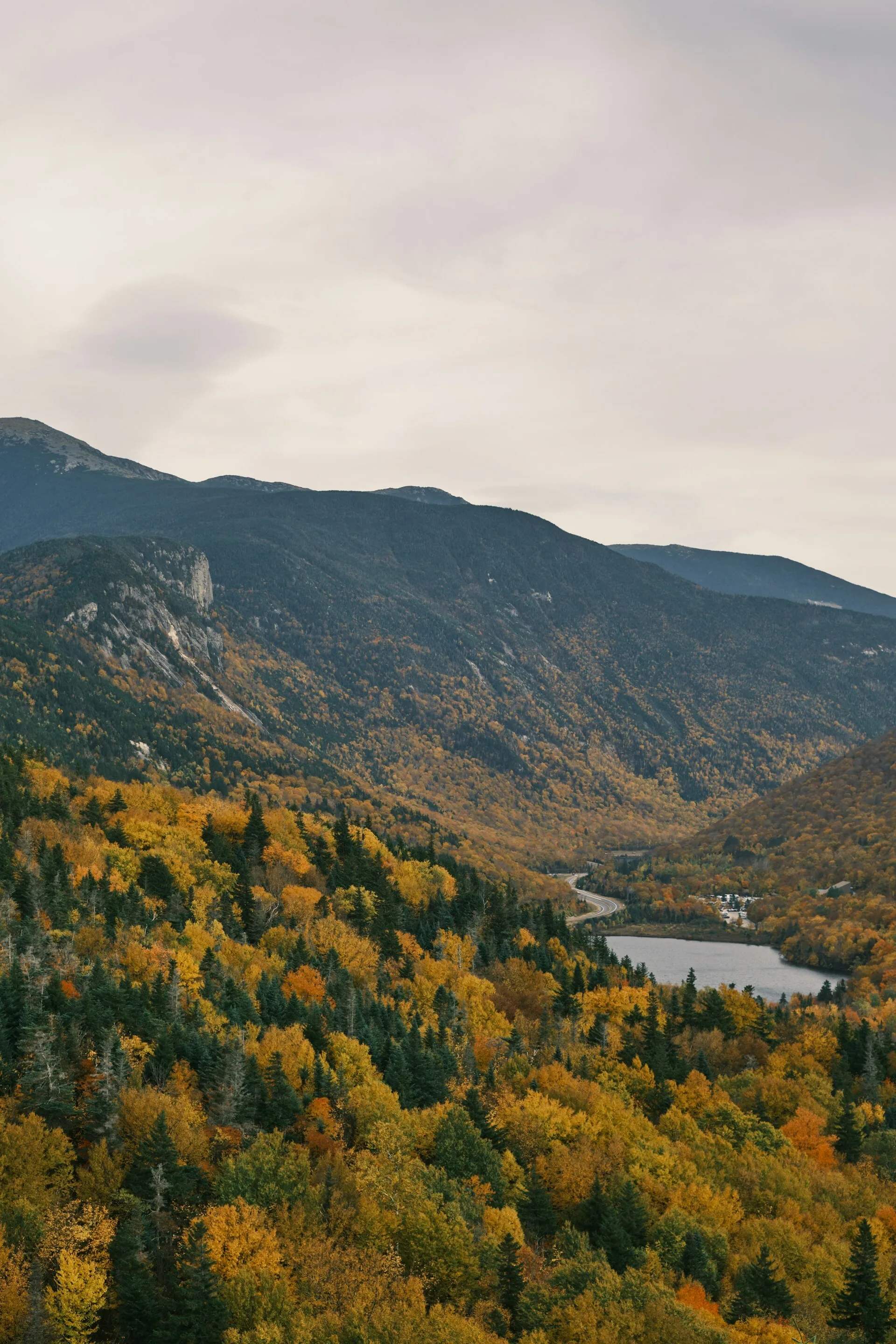 De gekleurde bomen van White Mountain National Forest in Franconio, New Hampshire