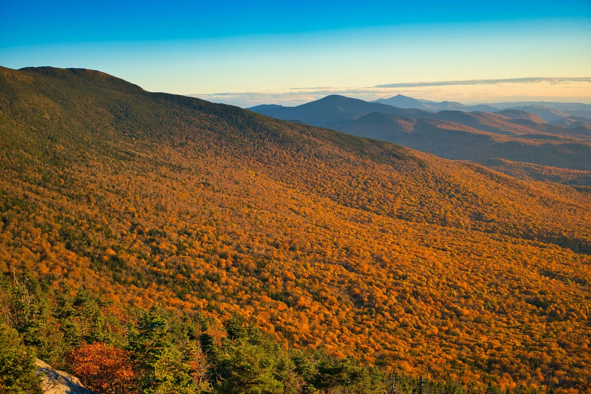 Oranje gekleurde bomen in Stowe, Vermont