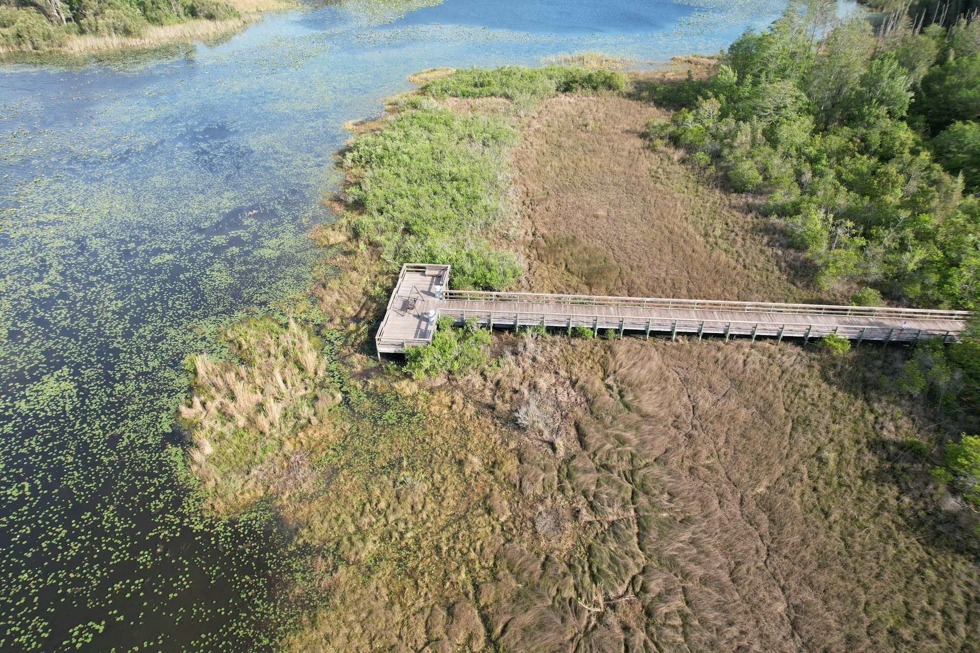 Uitzicht over een steiger in het meer van Lake City, Florida