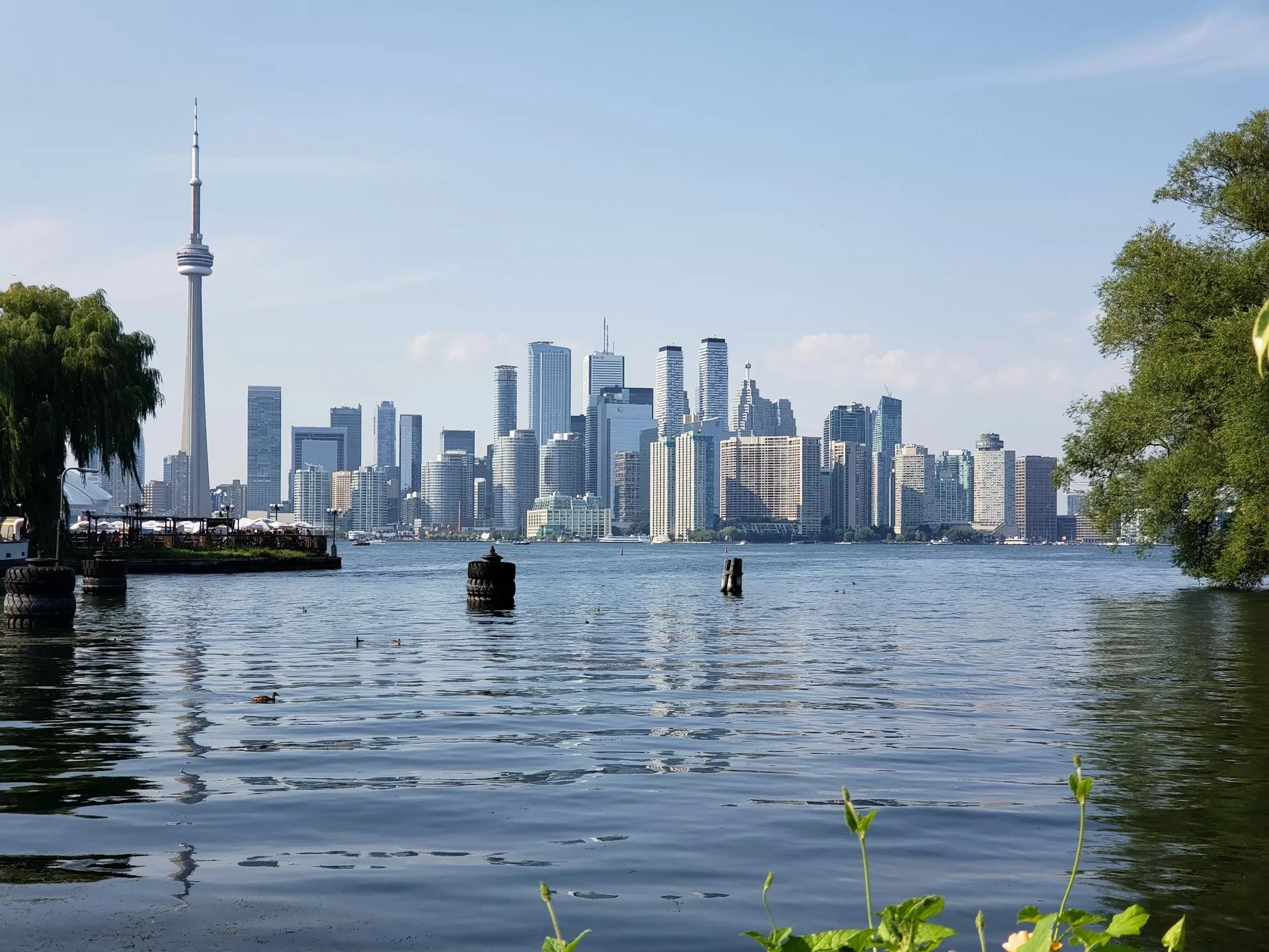 De skyline van Toronto met het water op de voorgrond