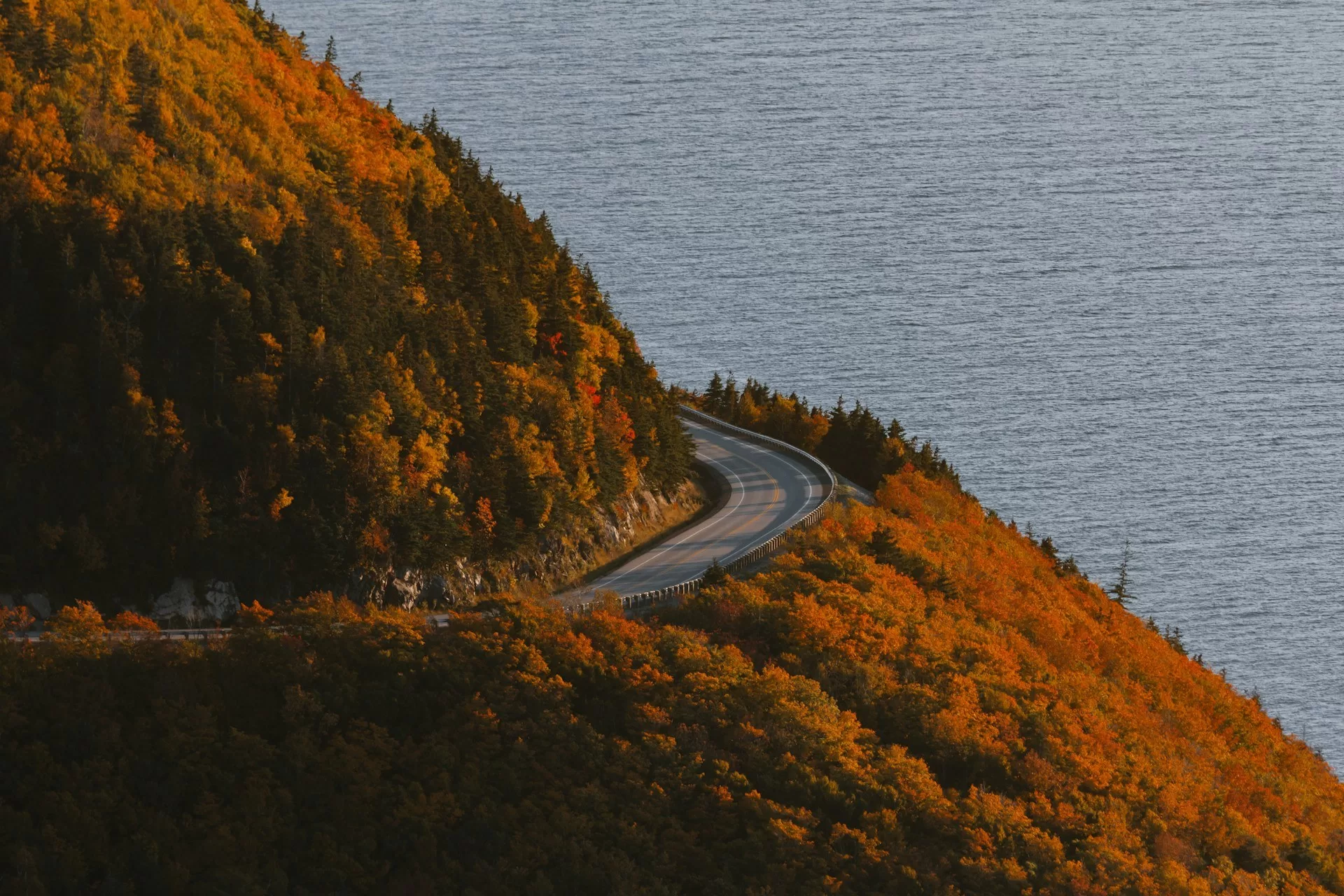 Weg slingerend door de herfstkleuren van Cape Breton met de oceaan op de achtergrond