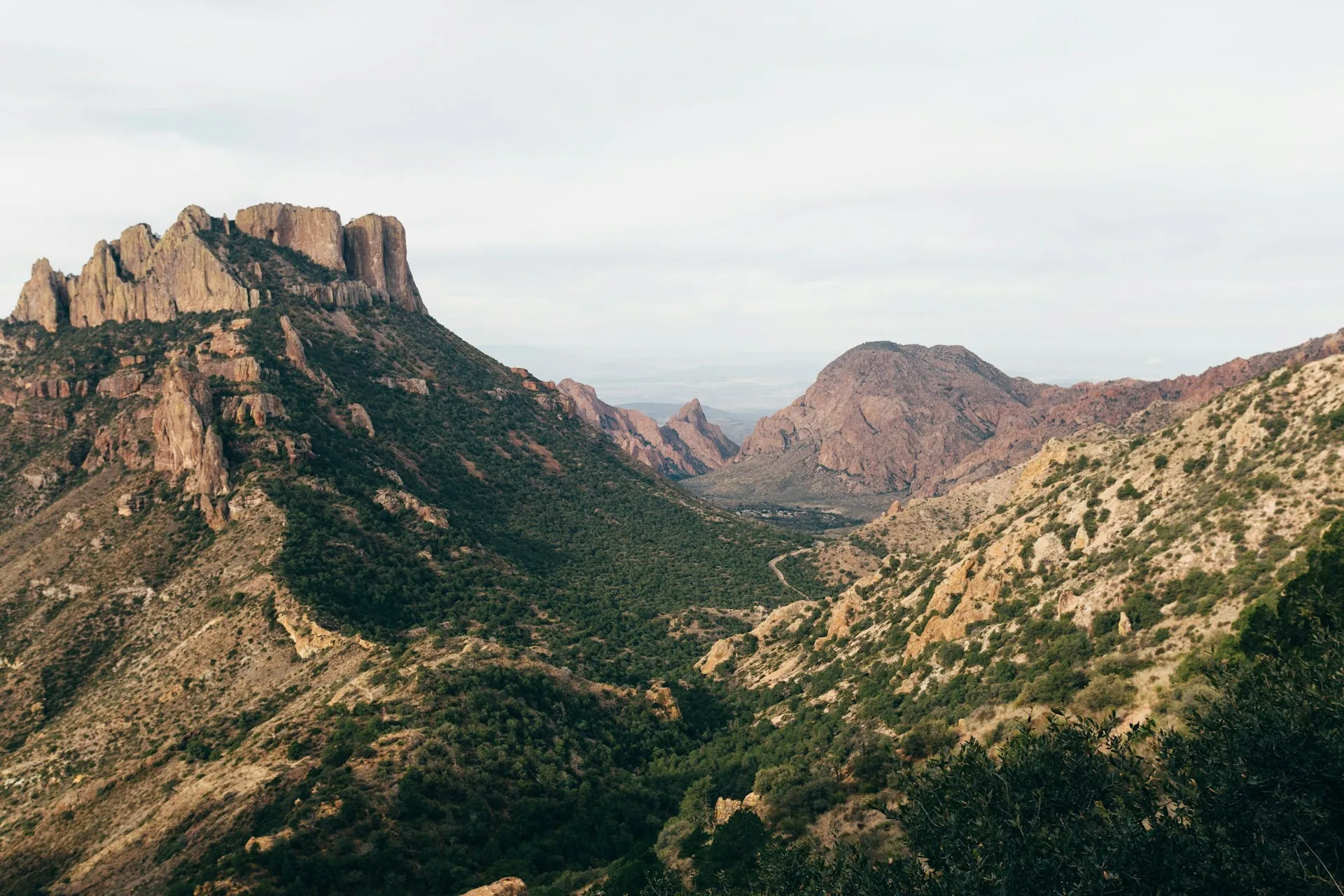 Uitzicht over de rotsen van Big Bend National Park in Texas